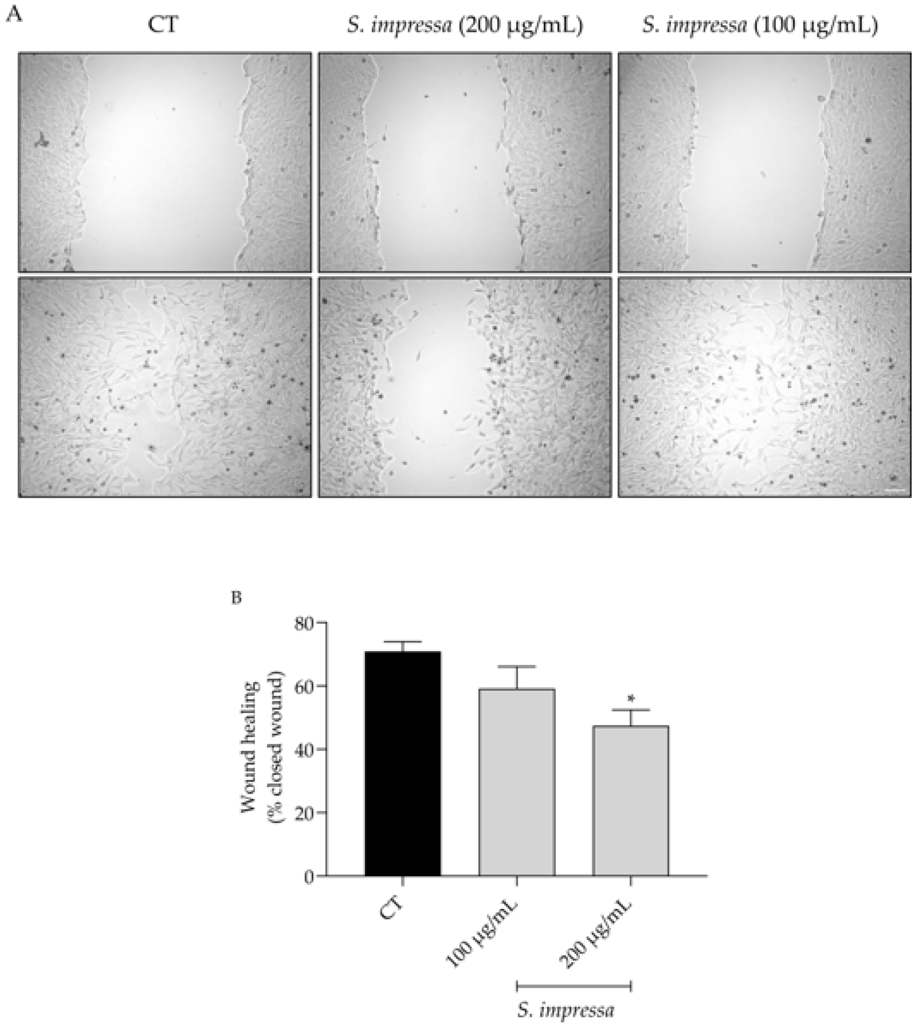 Plants 13 01943 g004