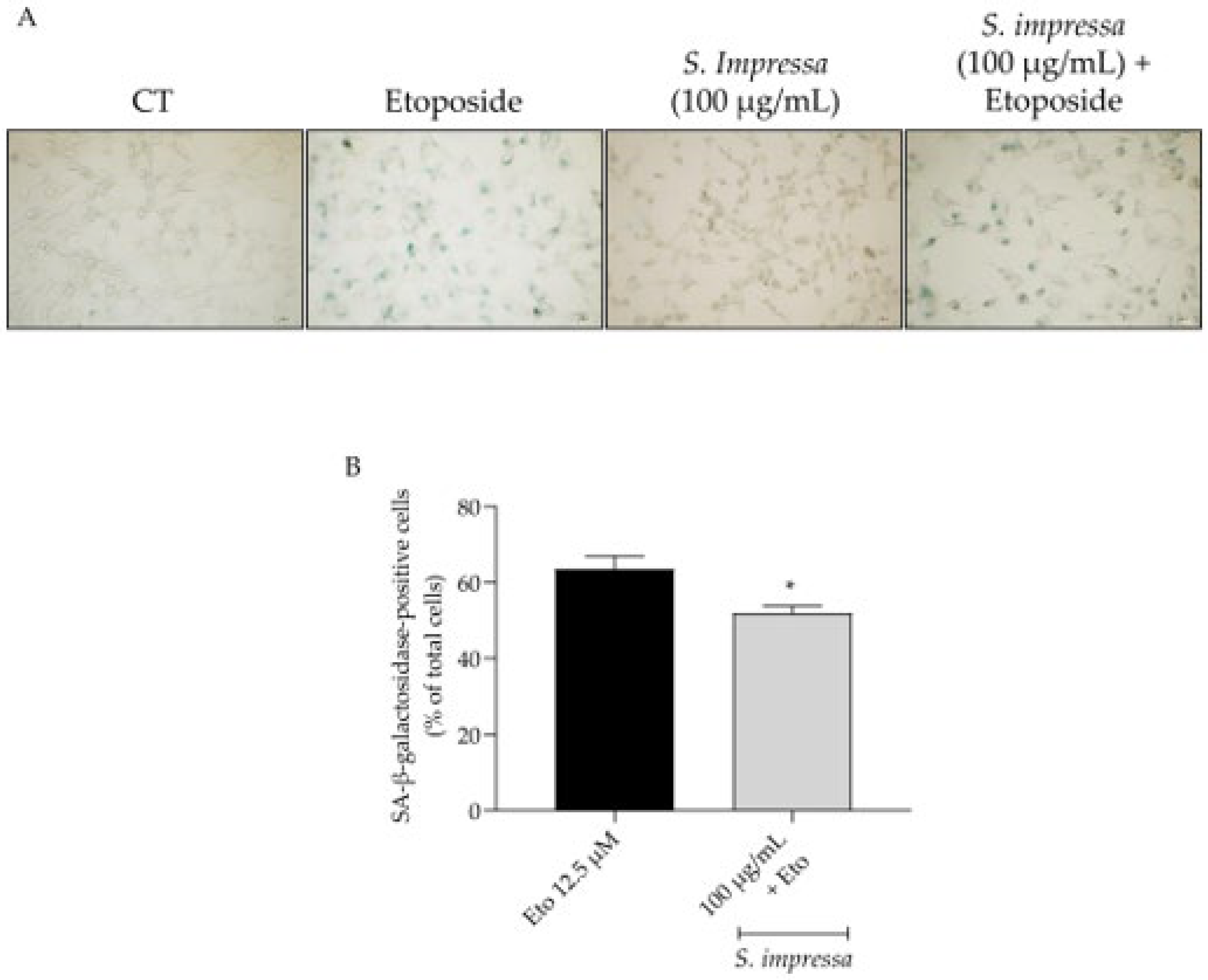 Plants 13 01943 g007