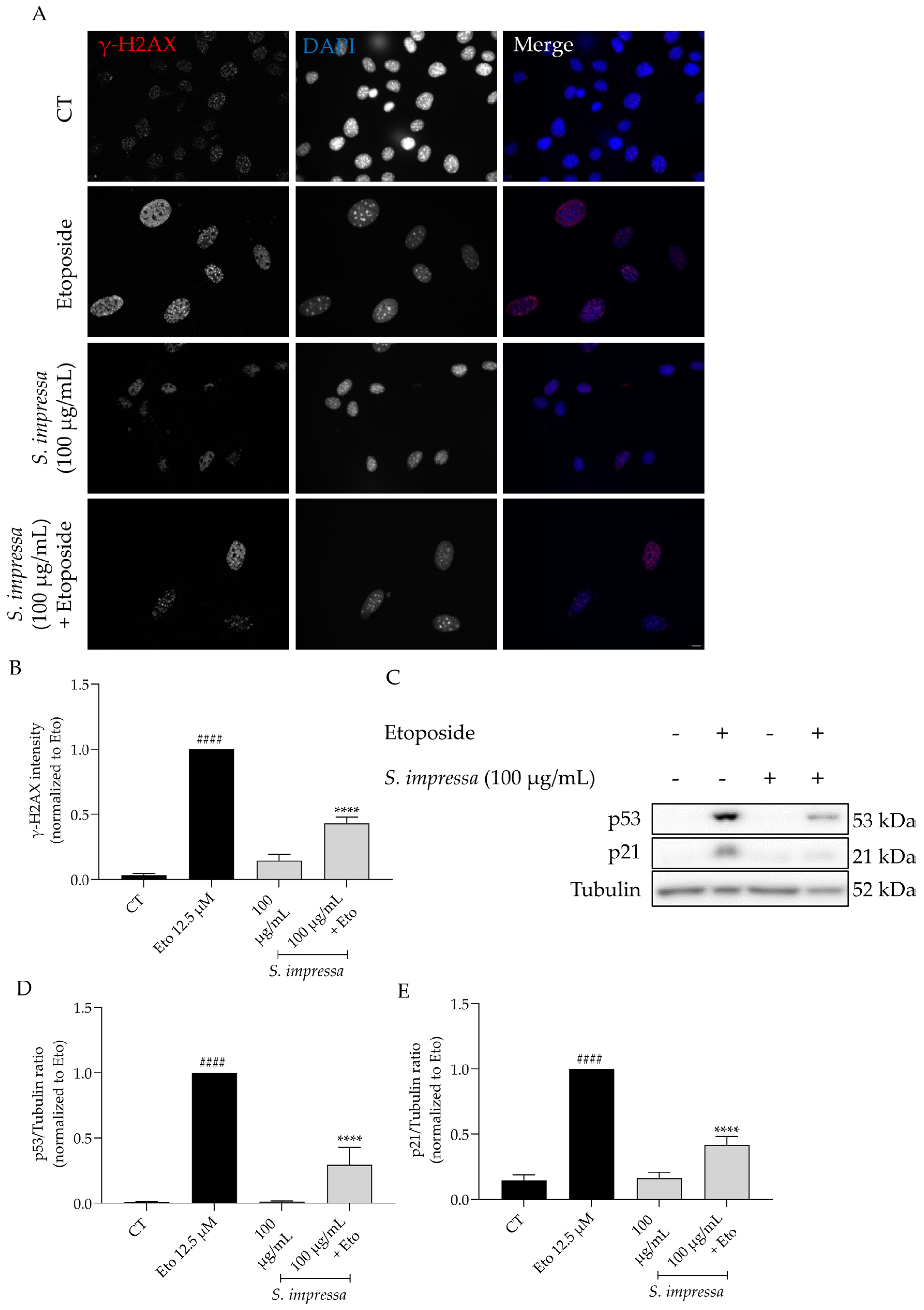 Plants 13 01943 g008