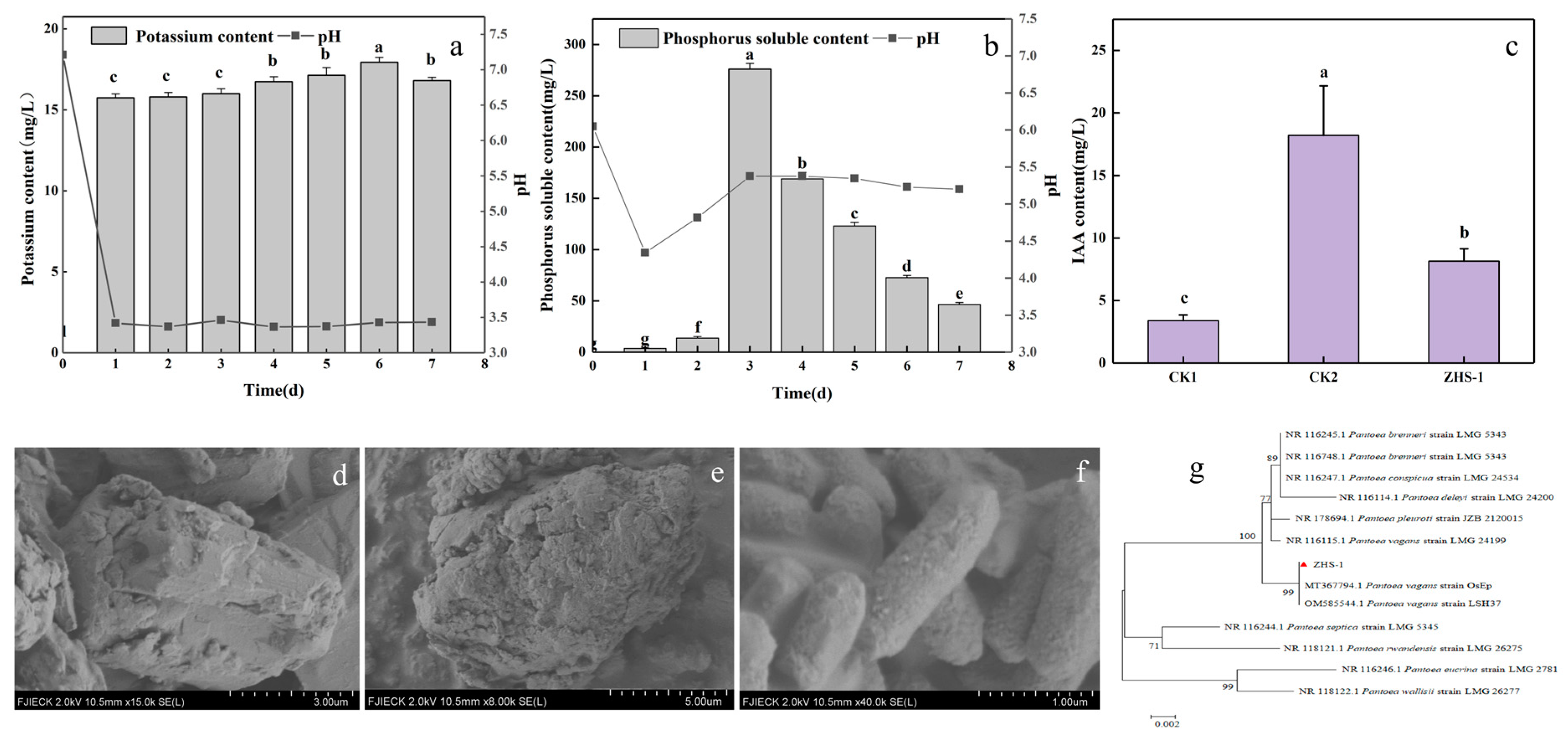 Plants 13 01945 g001