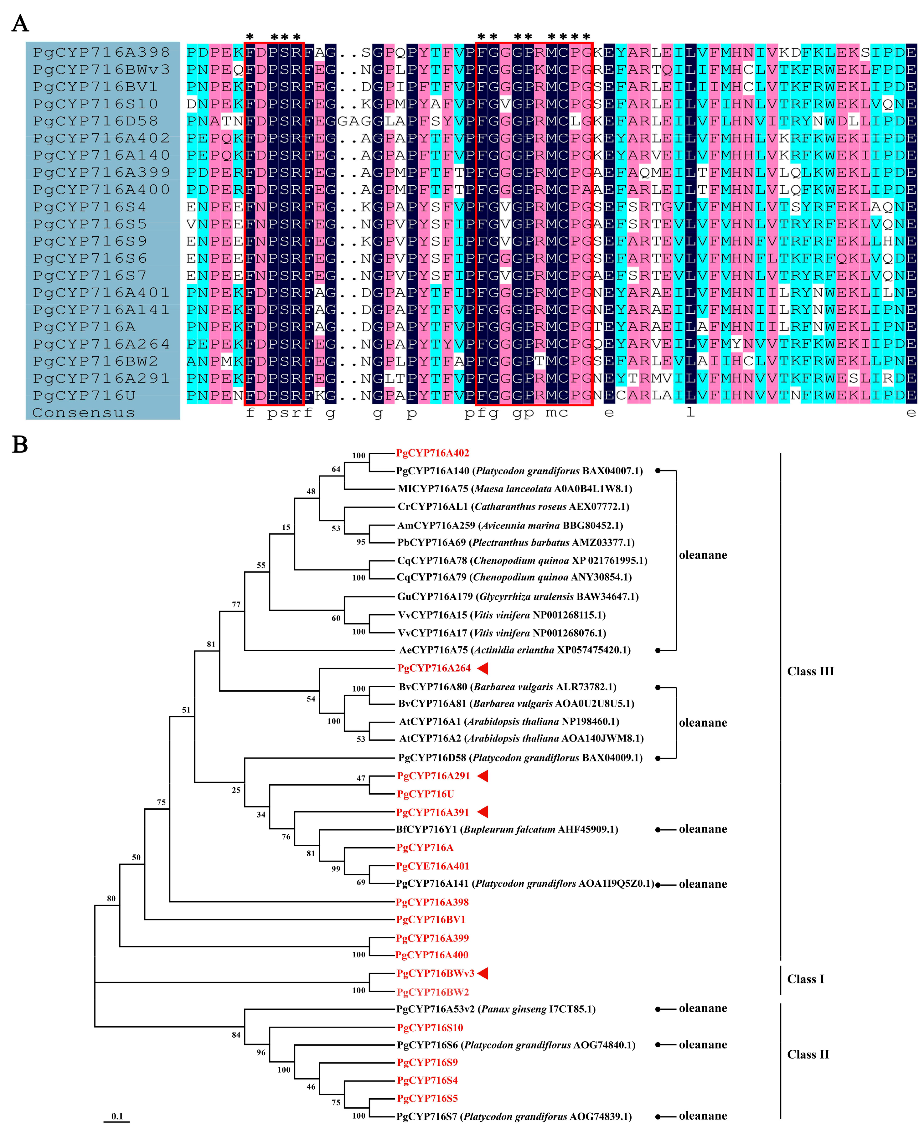 Plants 13 01946 g001