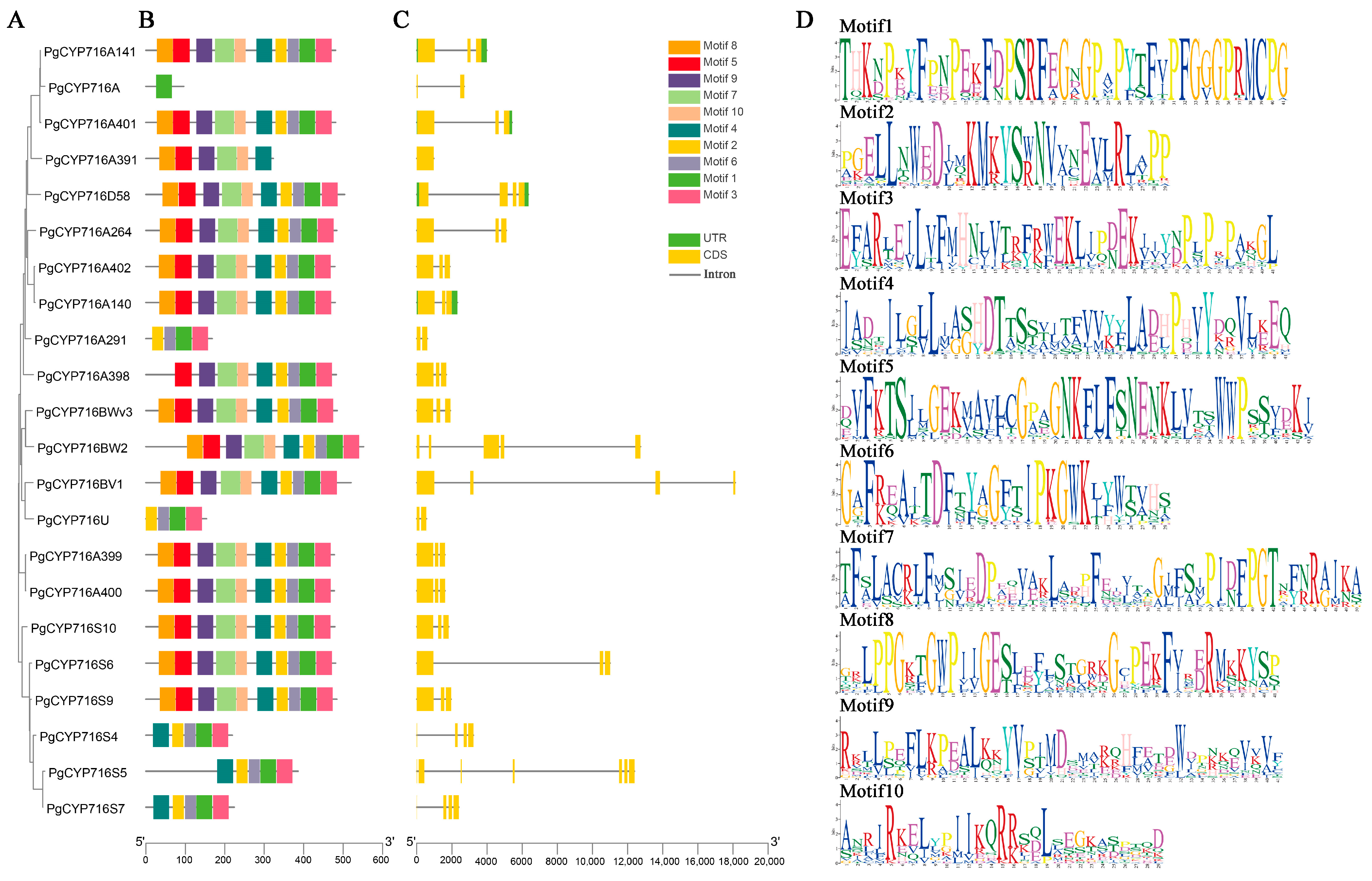 Plants 13 01946 g002