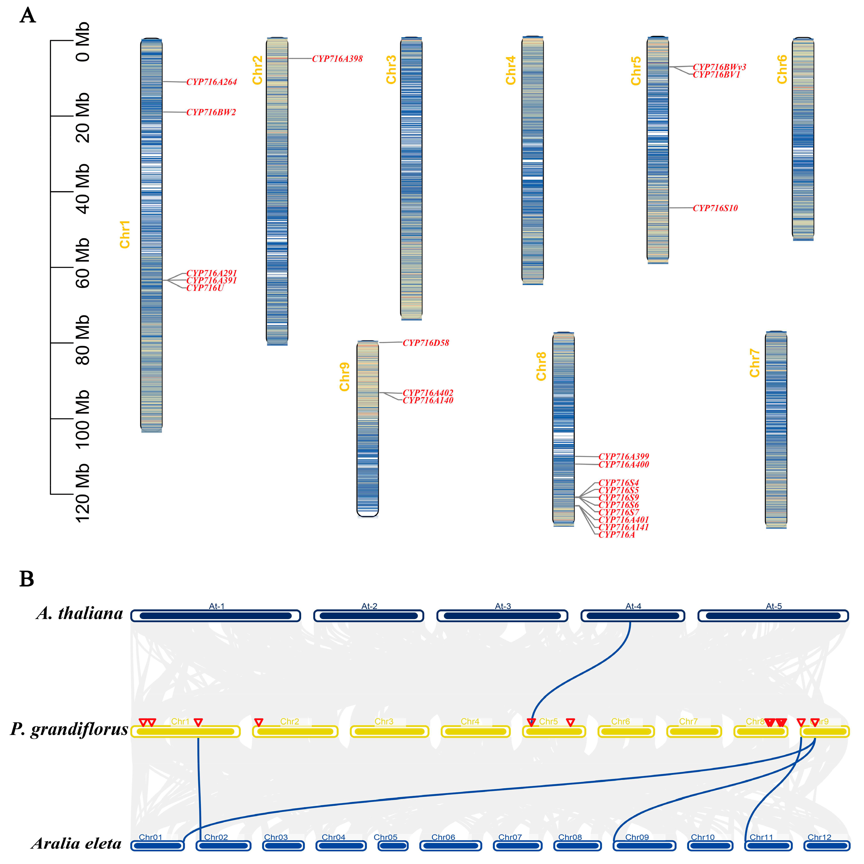 Plants 13 01946 g003