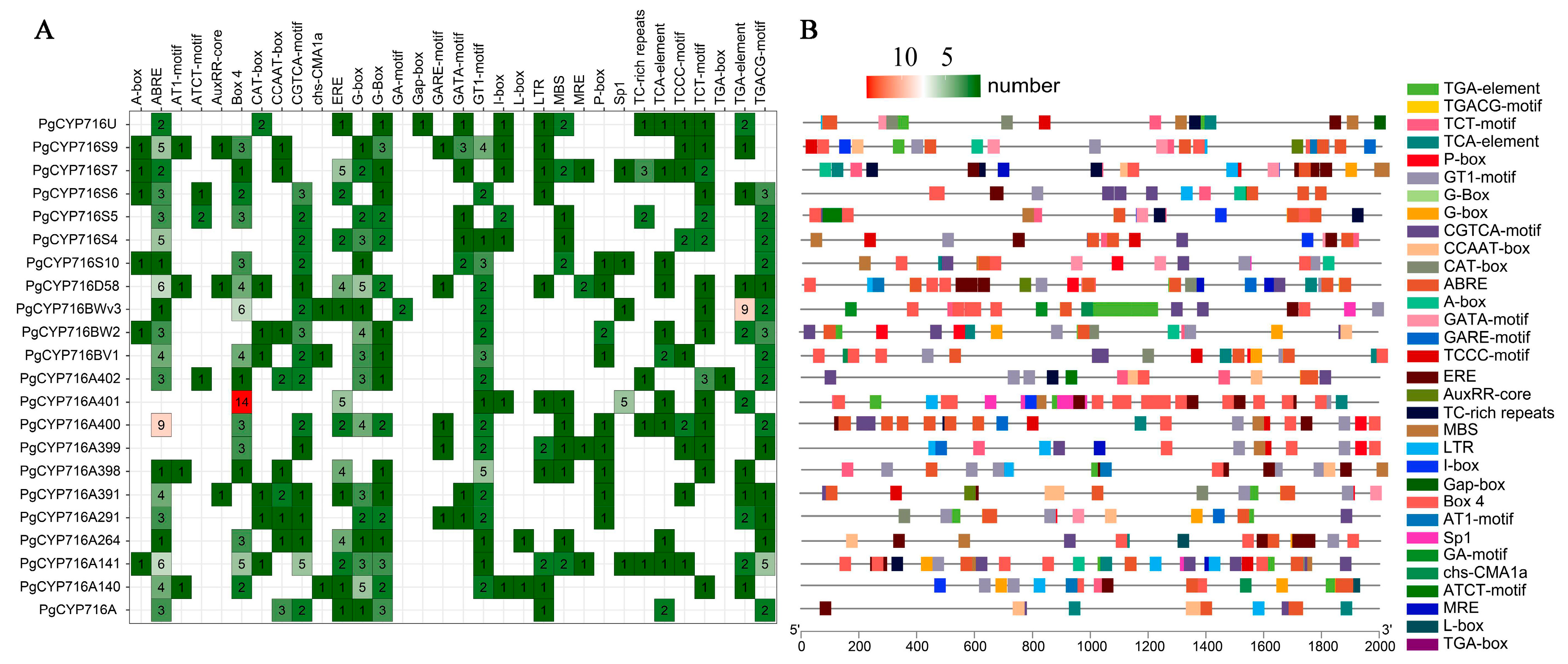 Plants 13 01946 g004