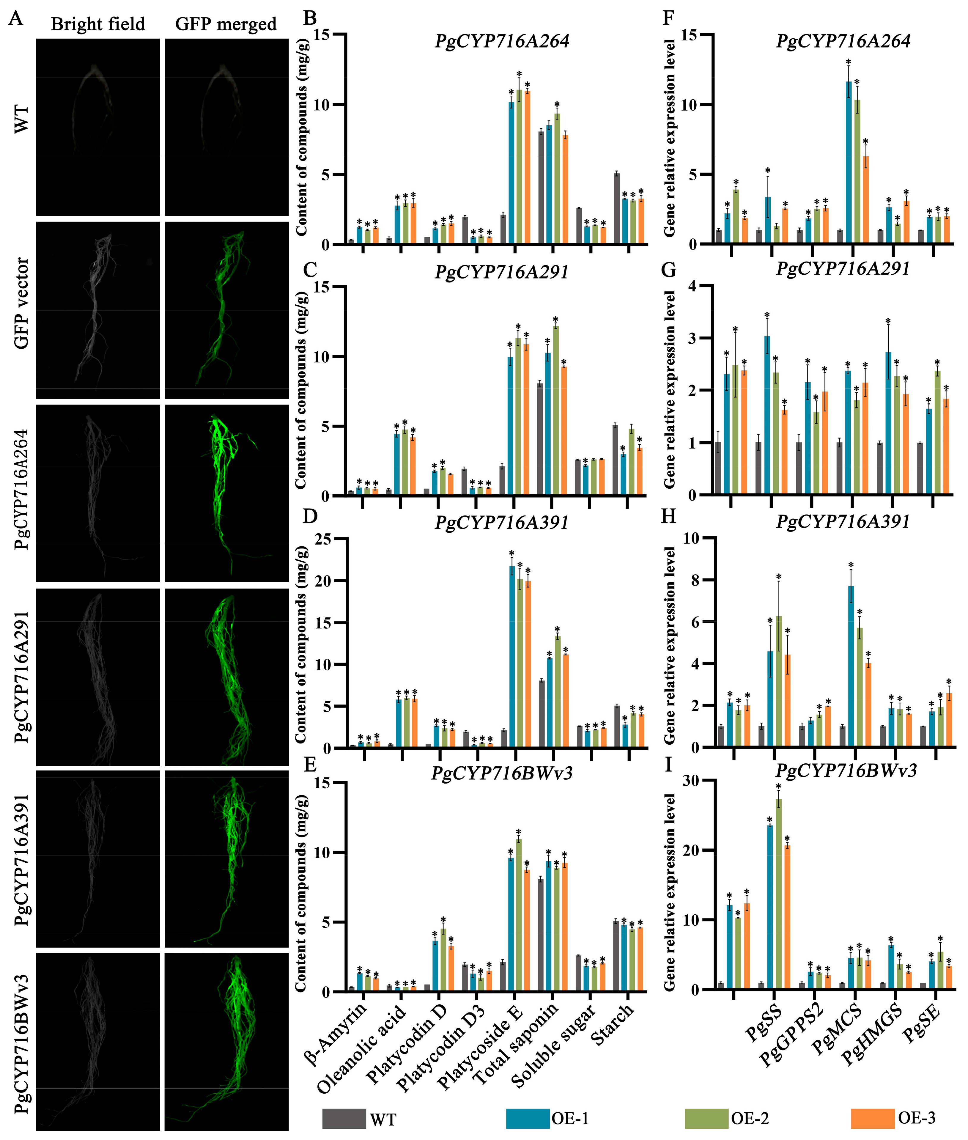 Plants 13 01946 g008
