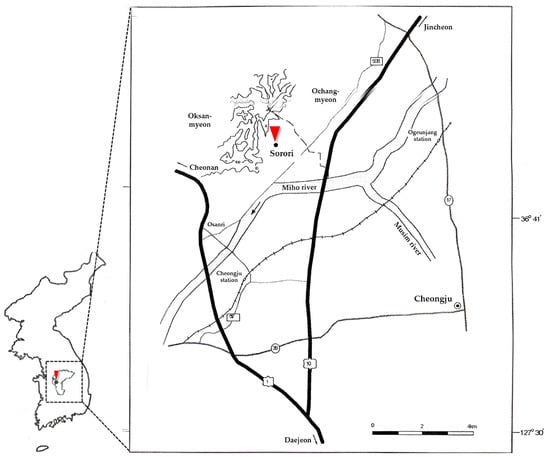 Plants 13 01948 g002