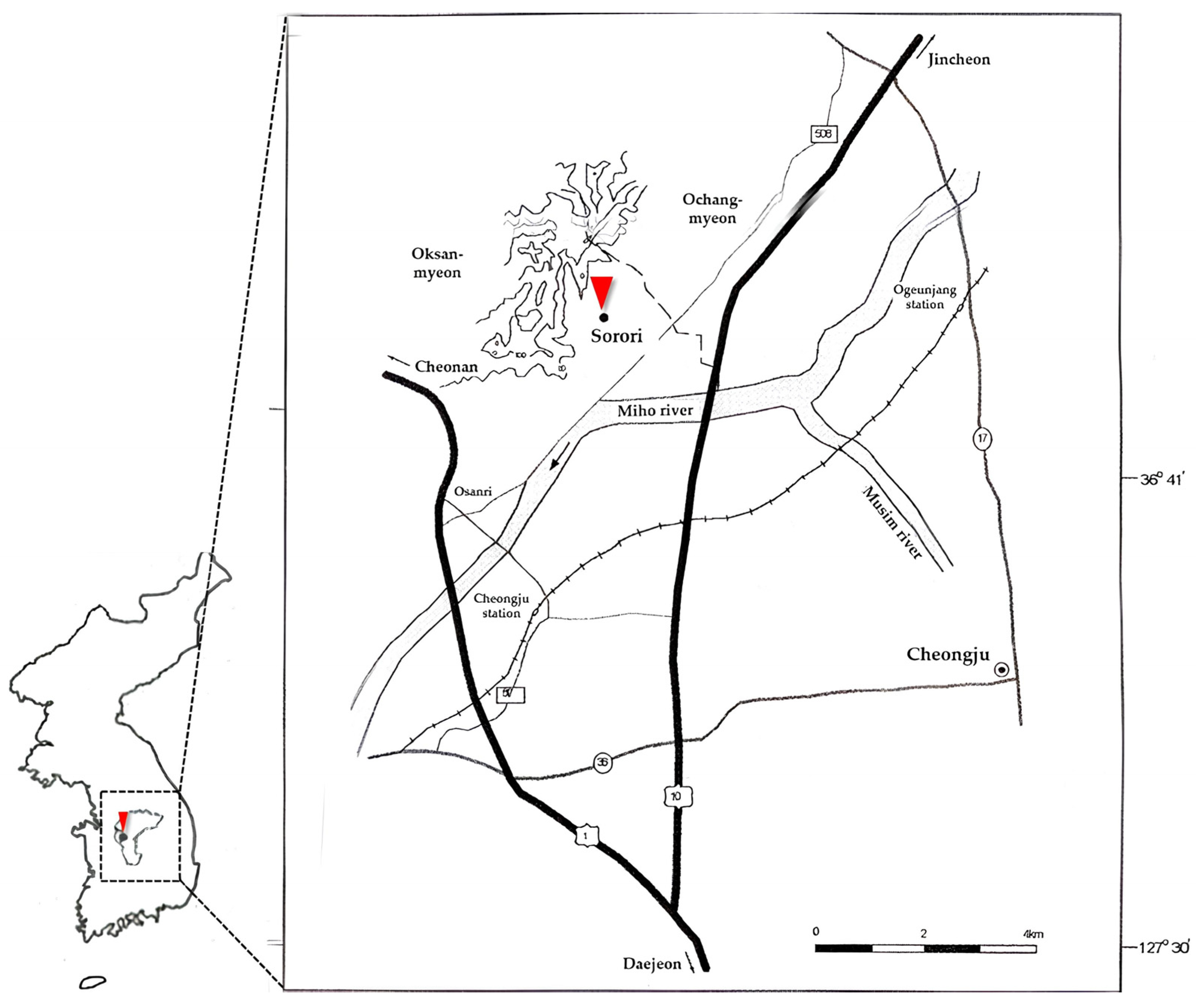 Plants 13 01948 g002