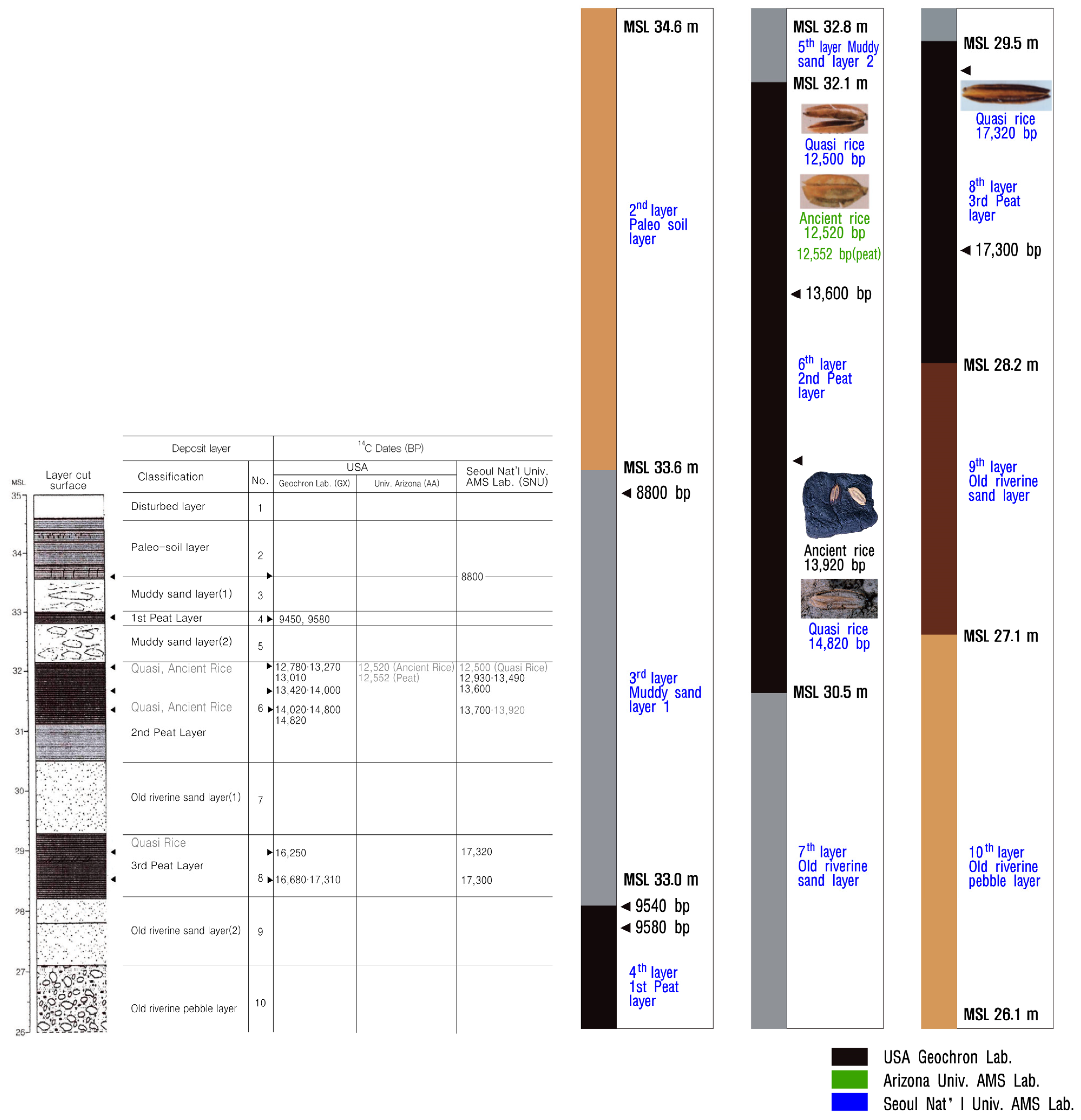Plants 13 01948 g003