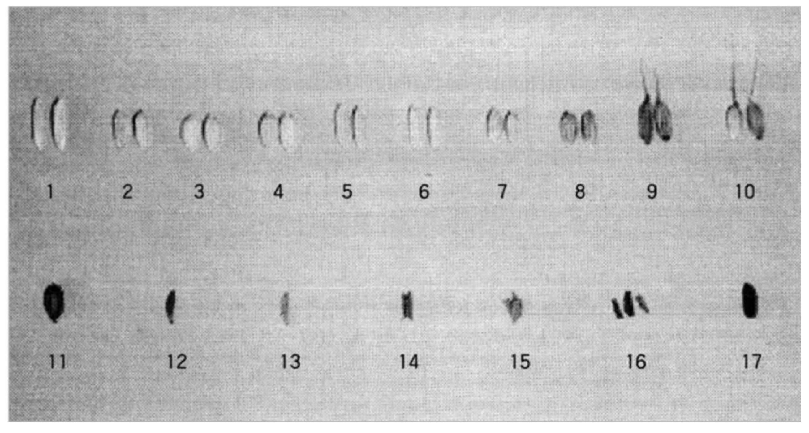 Plants 13 01948 g010
