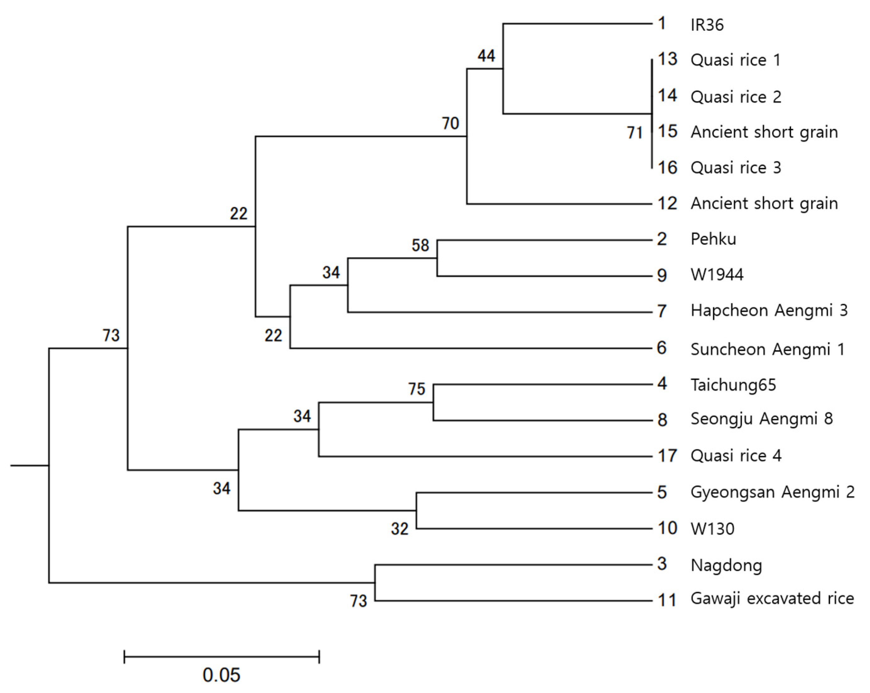 Plants 13 01948 g012