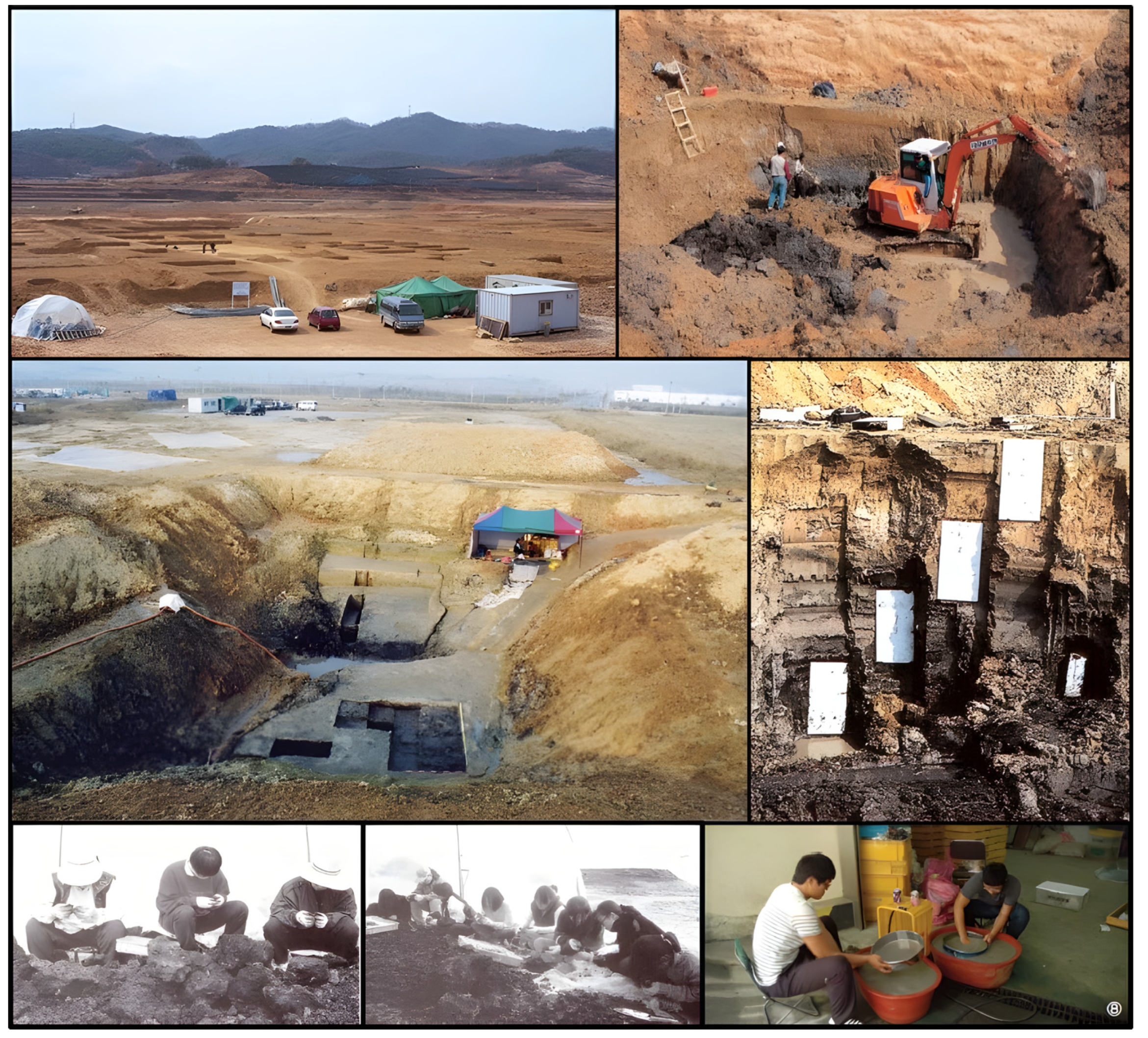 Plants 13 01948 g018