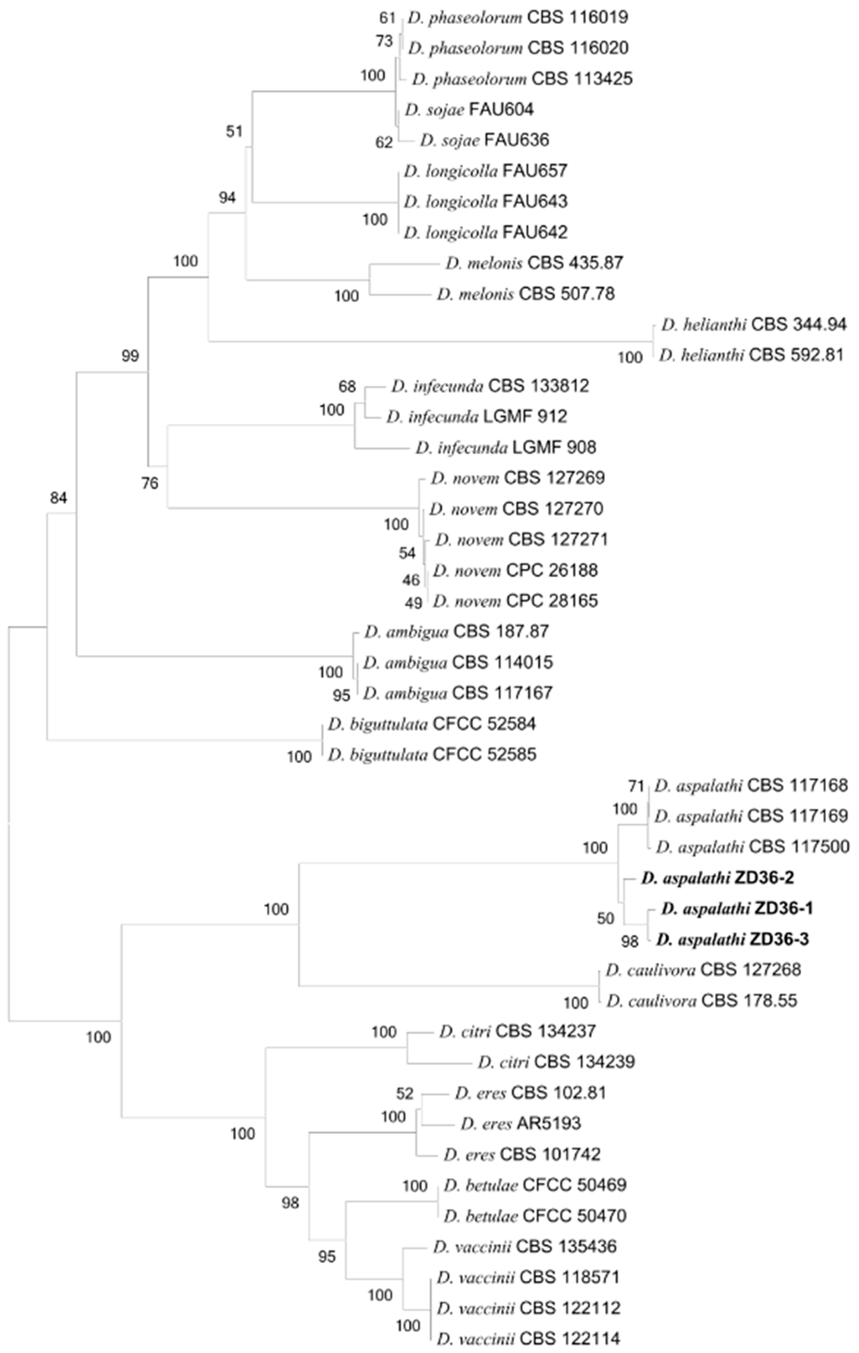 Plants 13 01950 g003