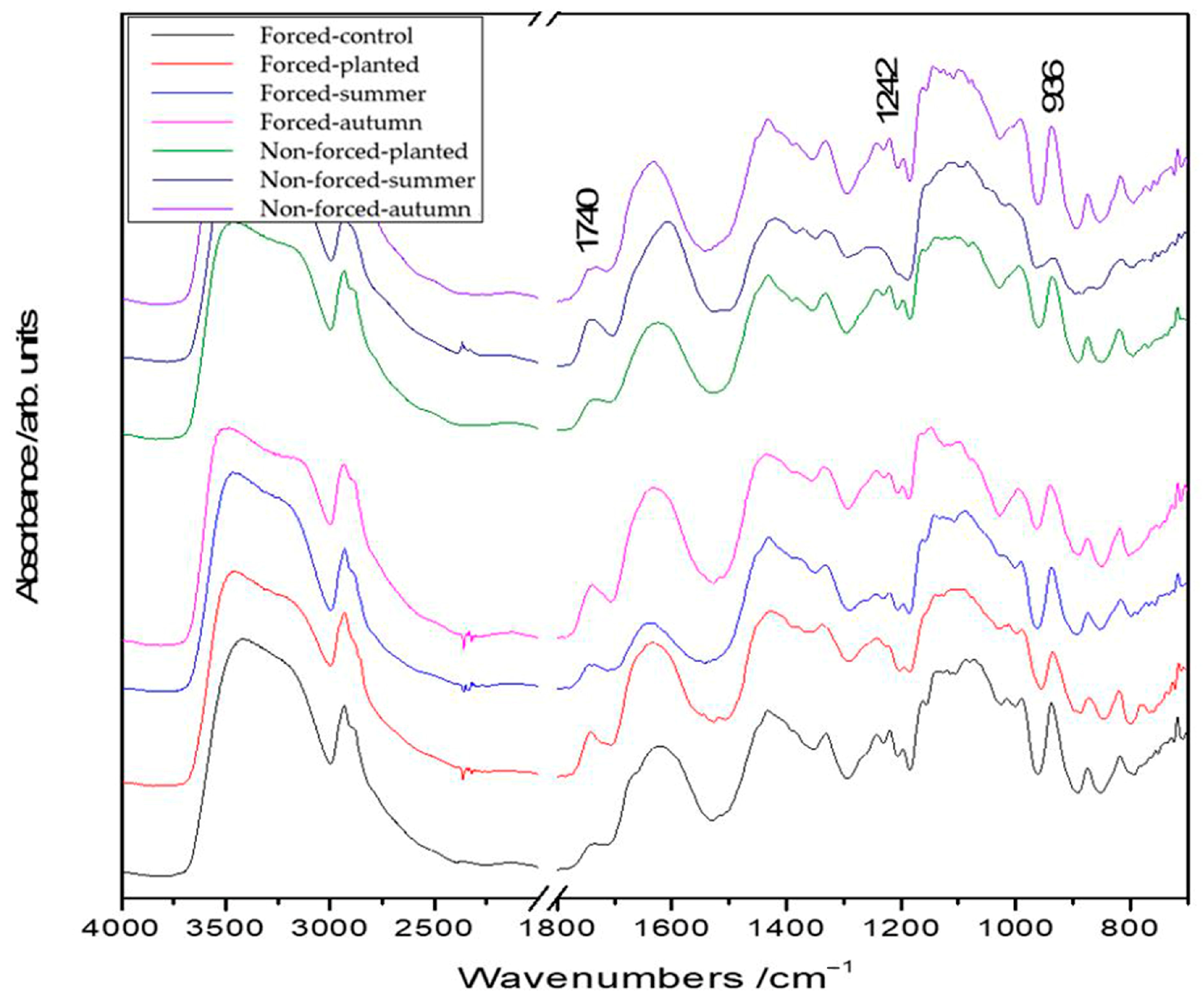 Plants 13 01955 g001 Plants 13 01955 g001