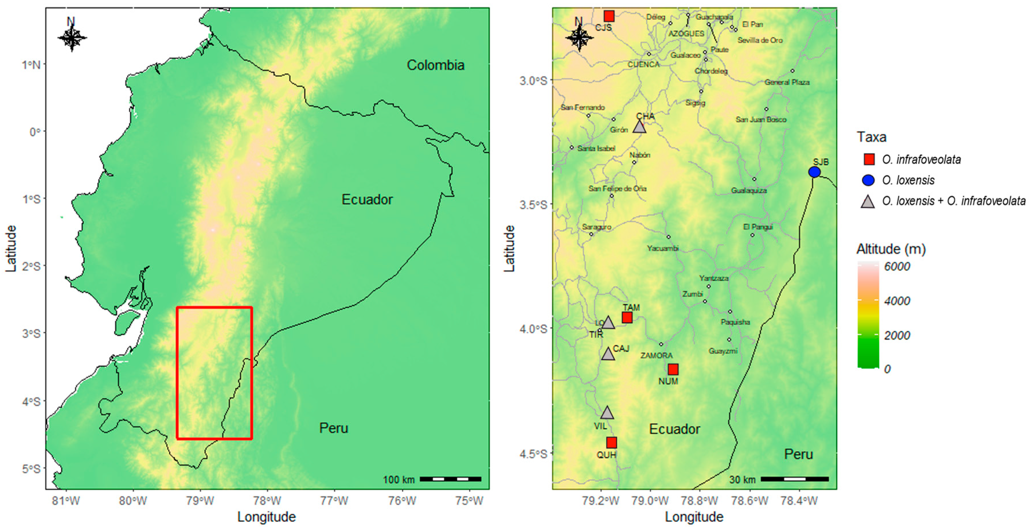 Plants 13 01956 g001 Plants 13 01956 g001