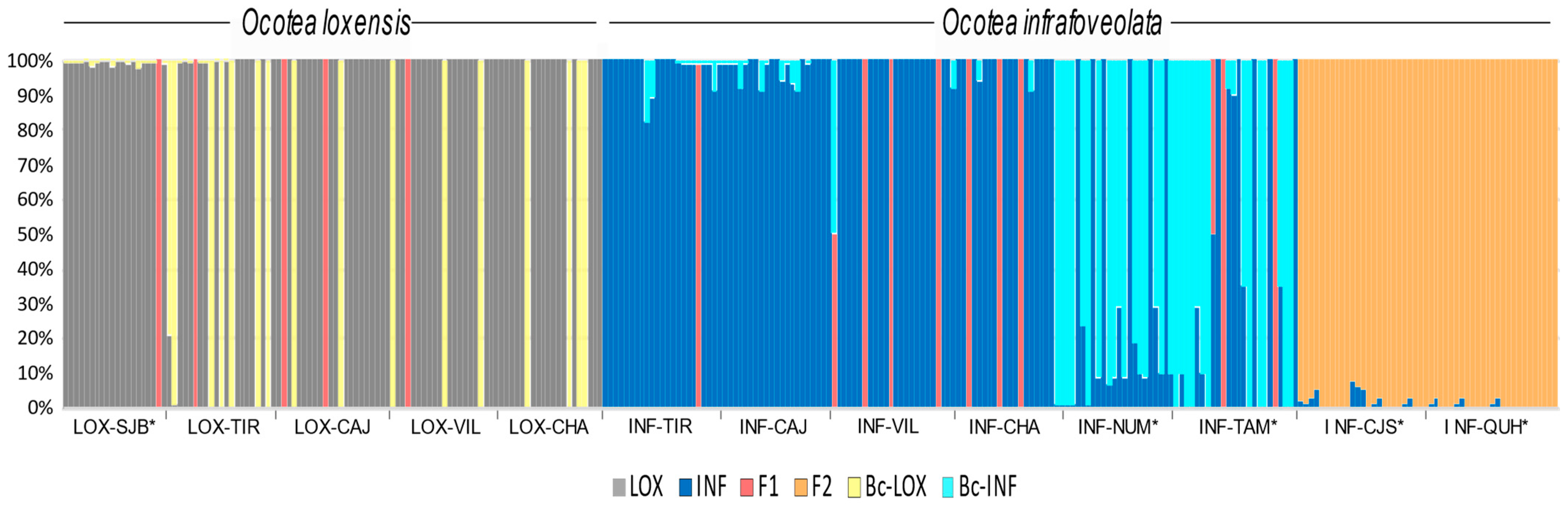 Plants 13 01956 g004 Plants 13 01956 g004