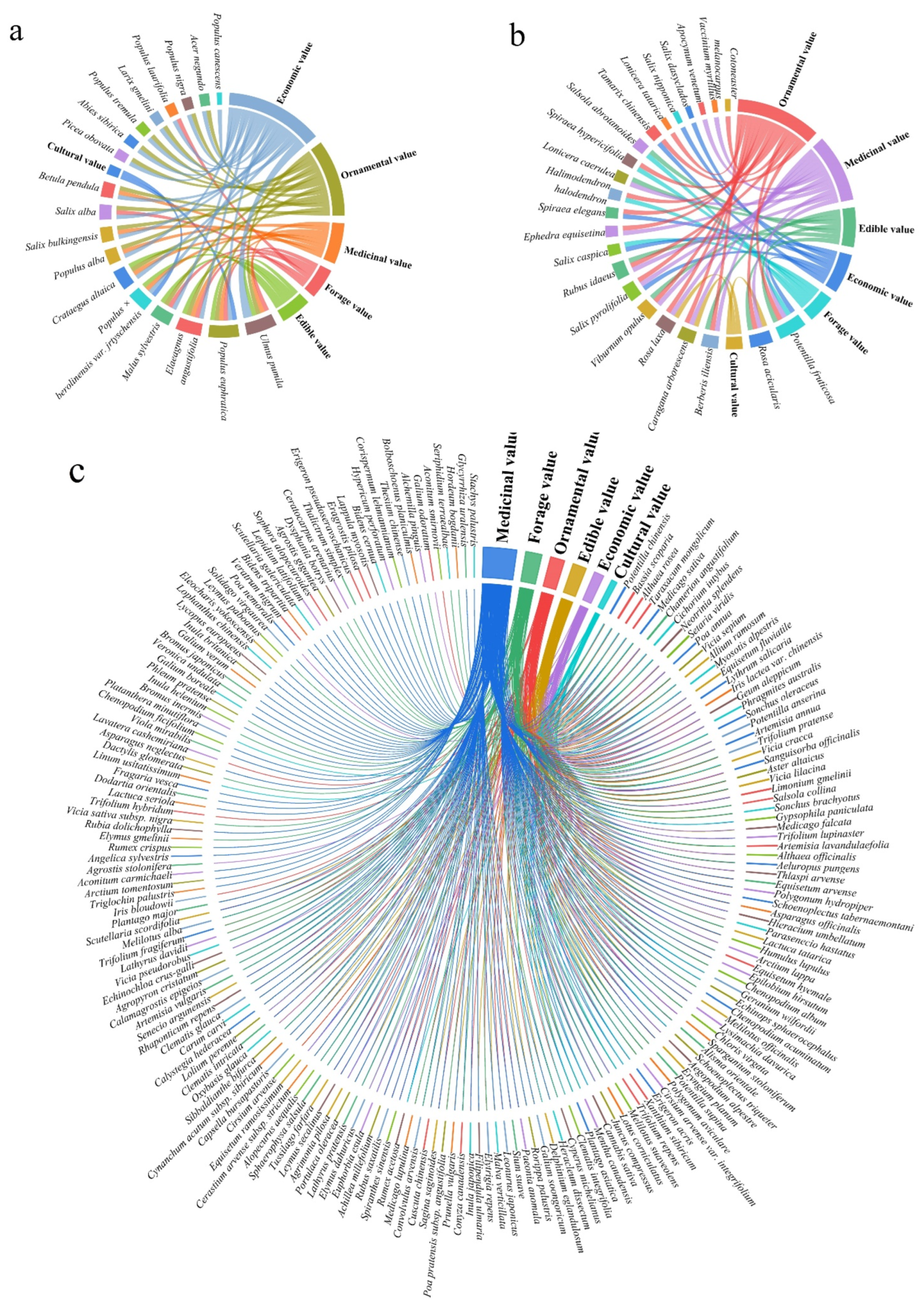 Plants 13 01957 g001