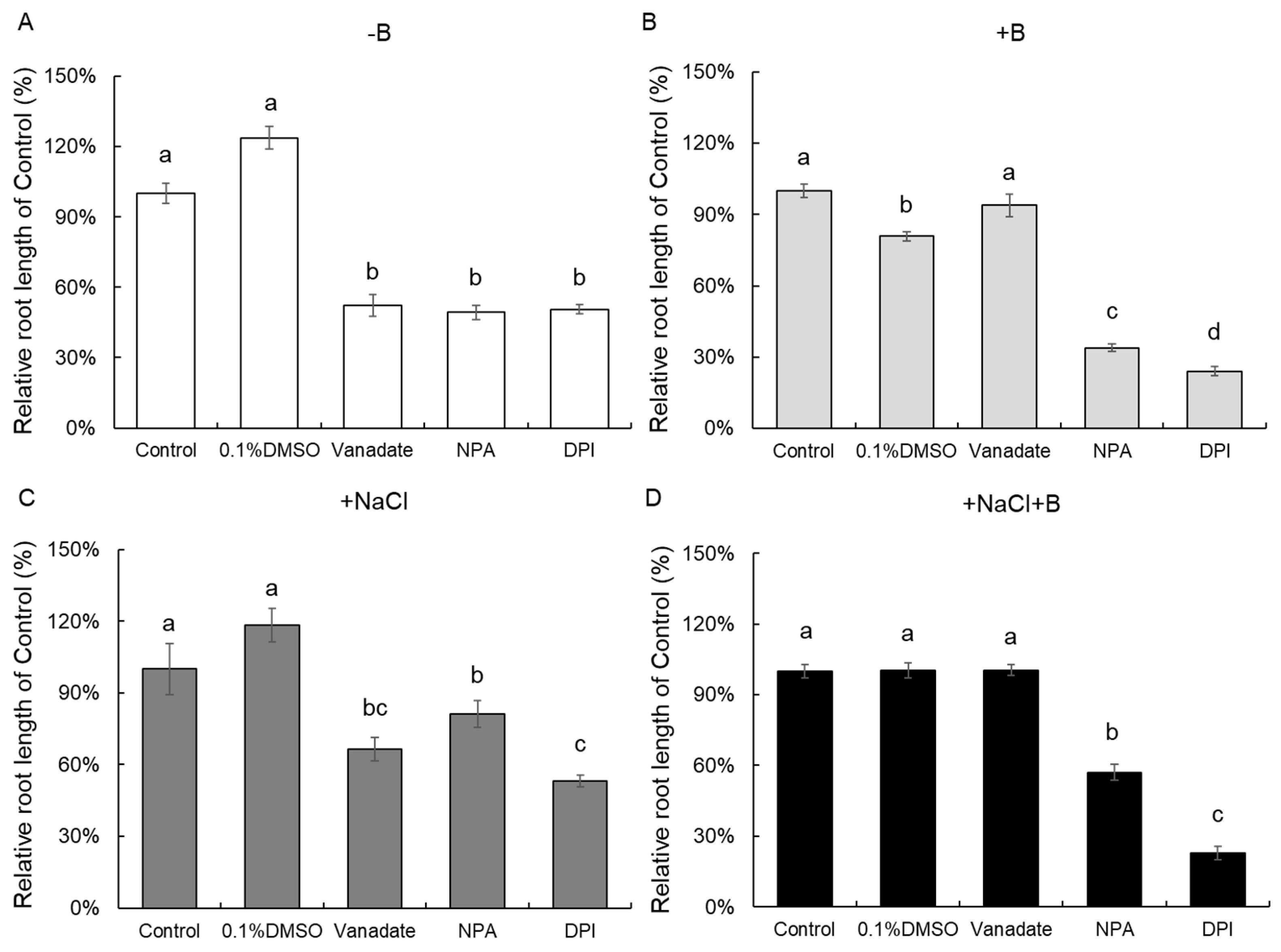 Plants 13 01960 g003
