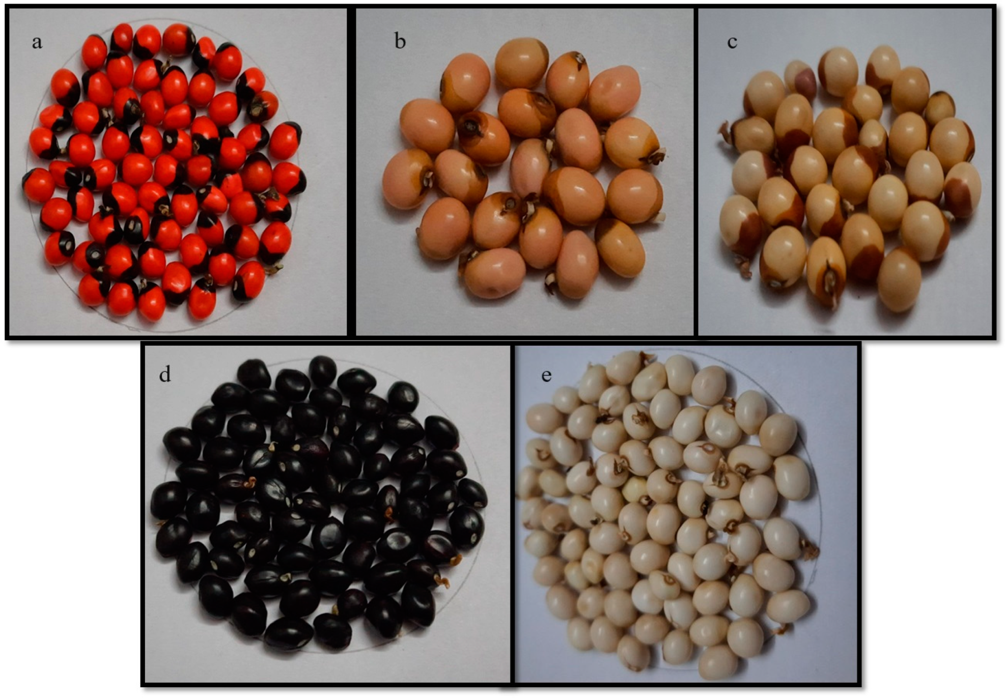 Plants 13 01963 g007 Plants 13 01963 g007