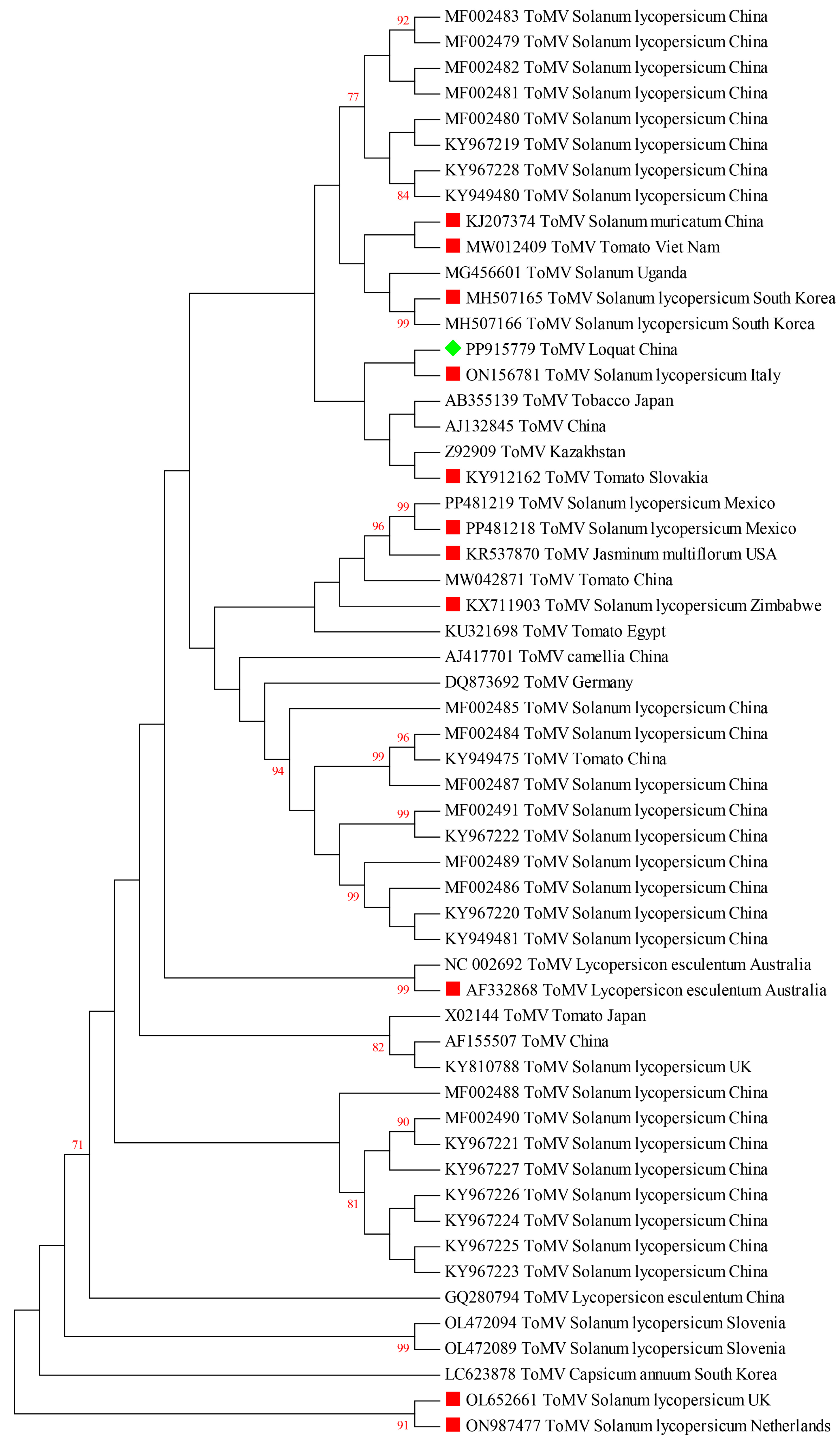 Plants 13 01965 g004