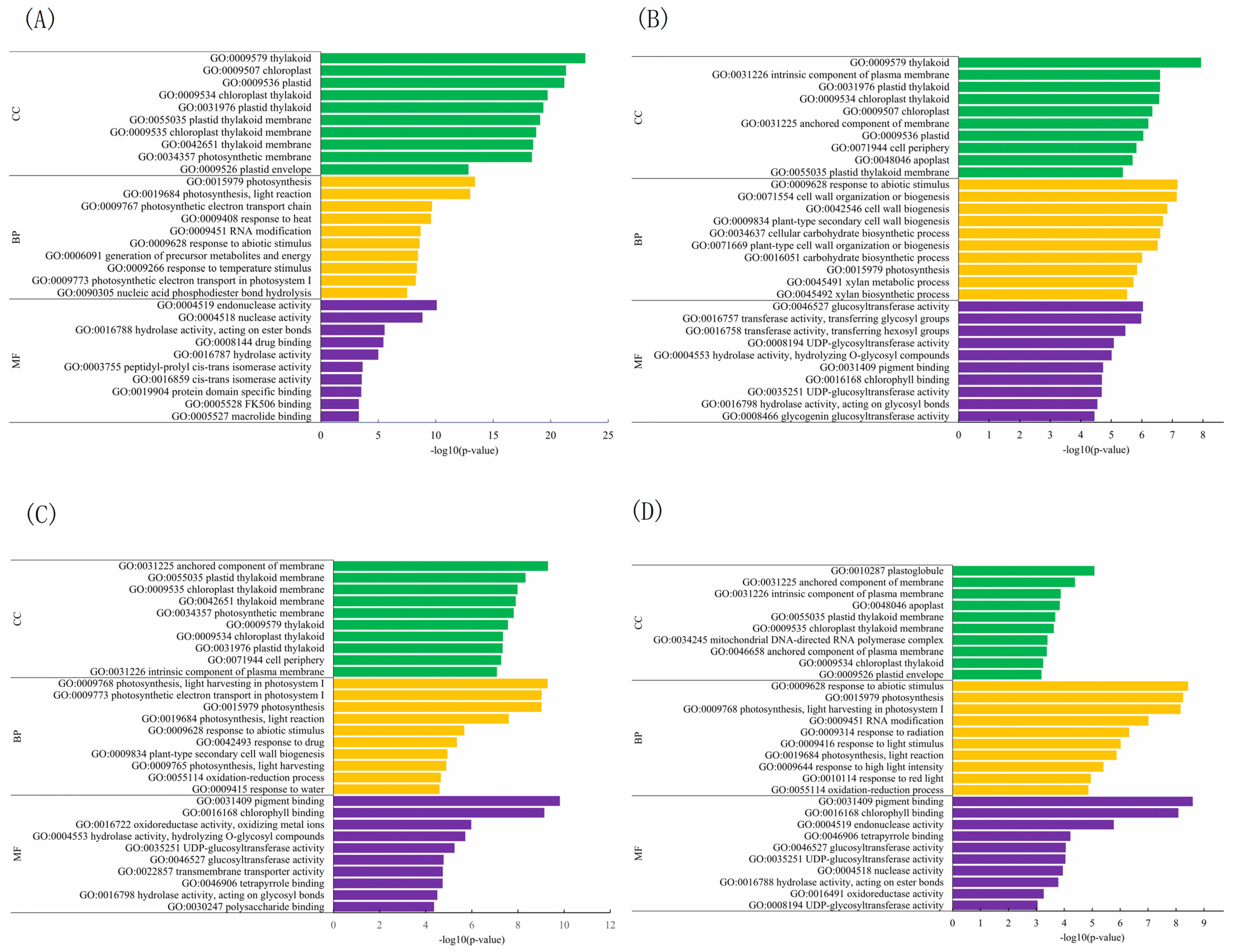 Plants 13 01967 g004