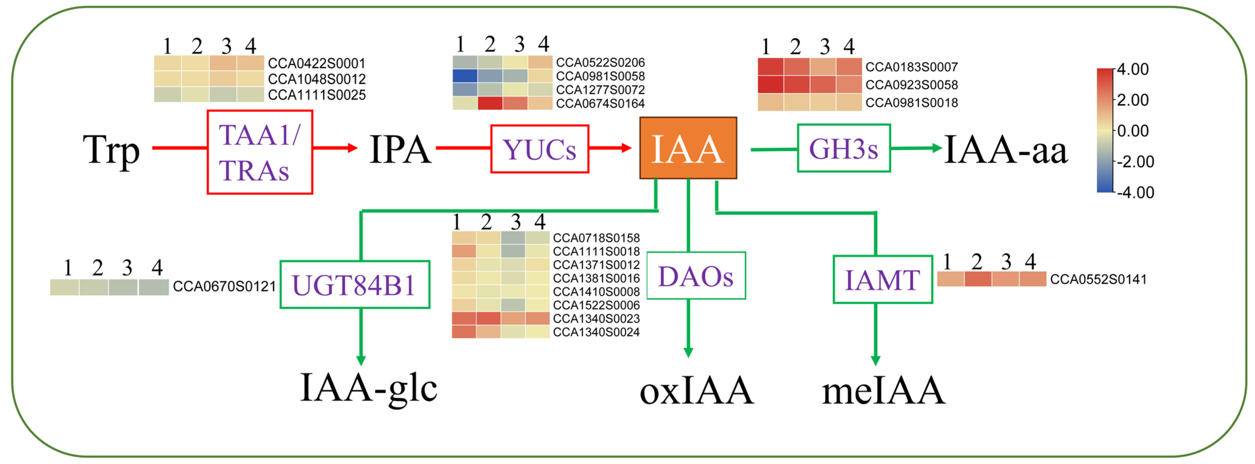 Plants 13 01967 g008