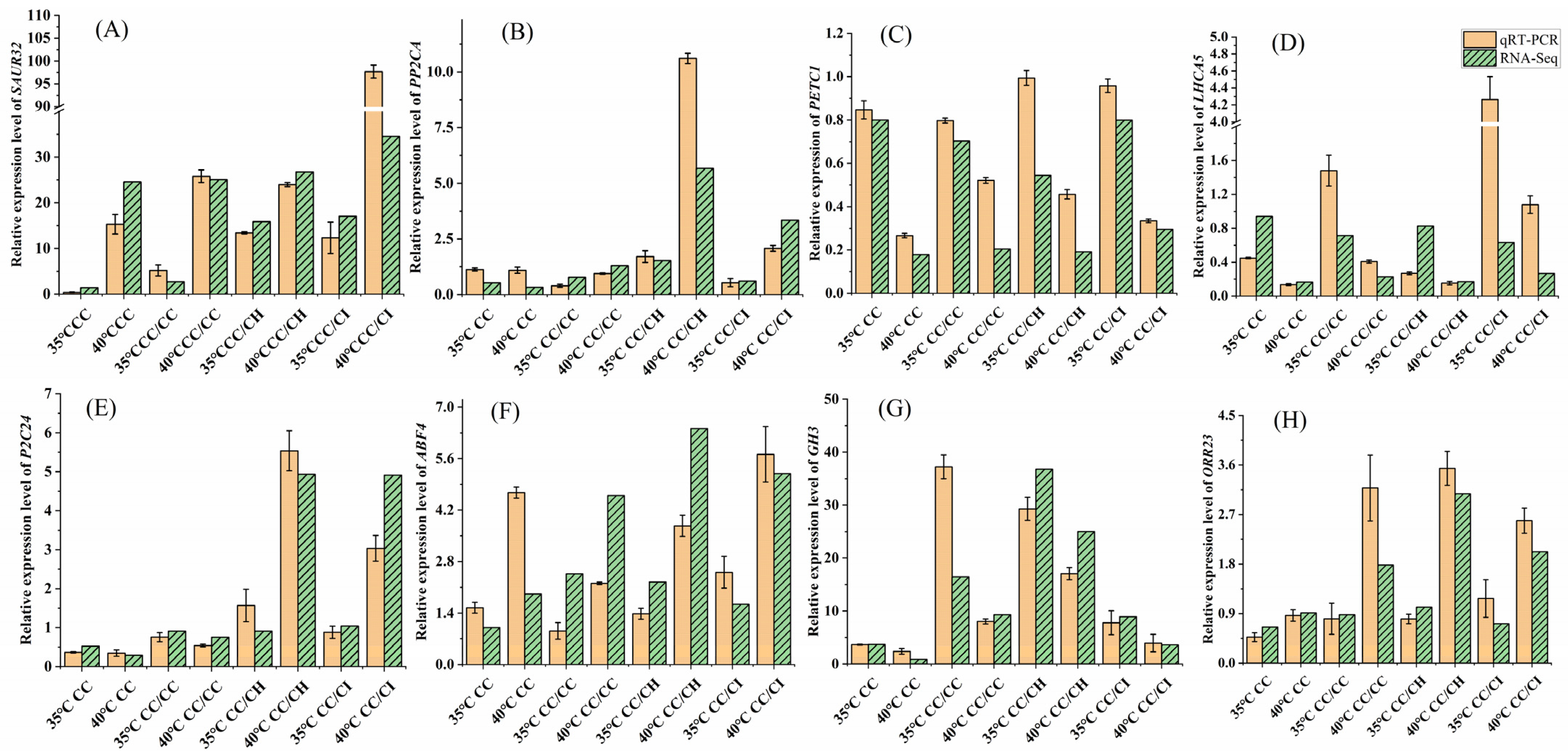 Plants 13 01967 g009