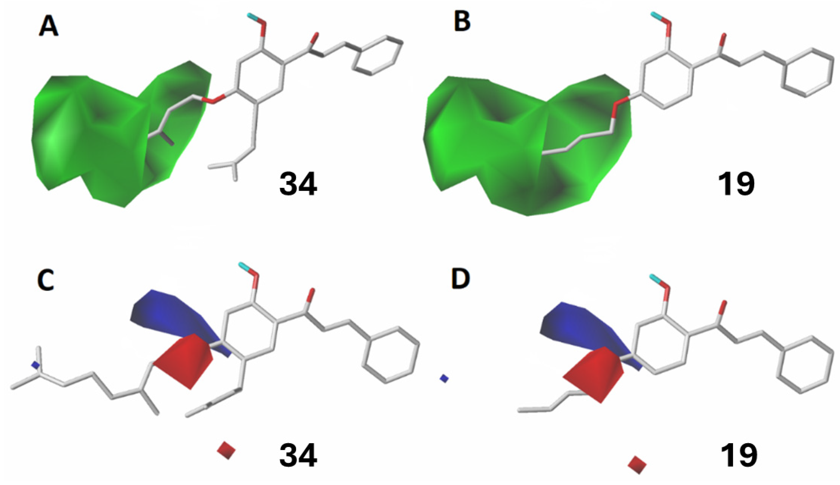 Plants 13 01976 g003