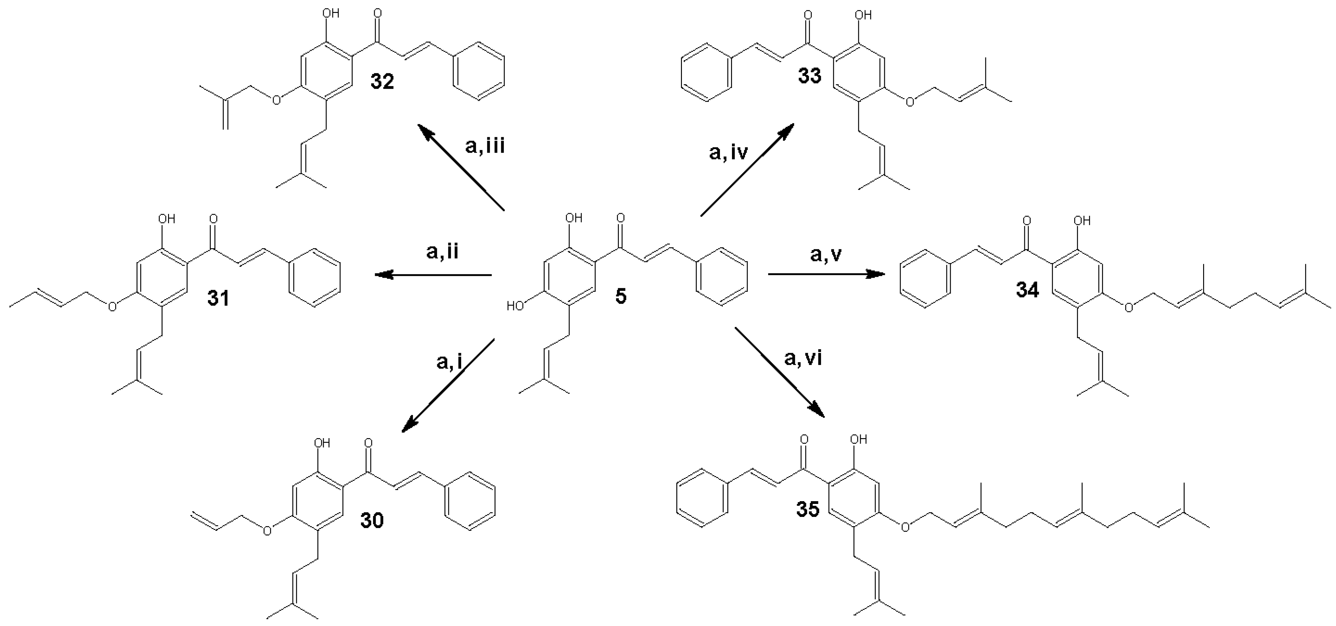 Plants 13 01976 sch002