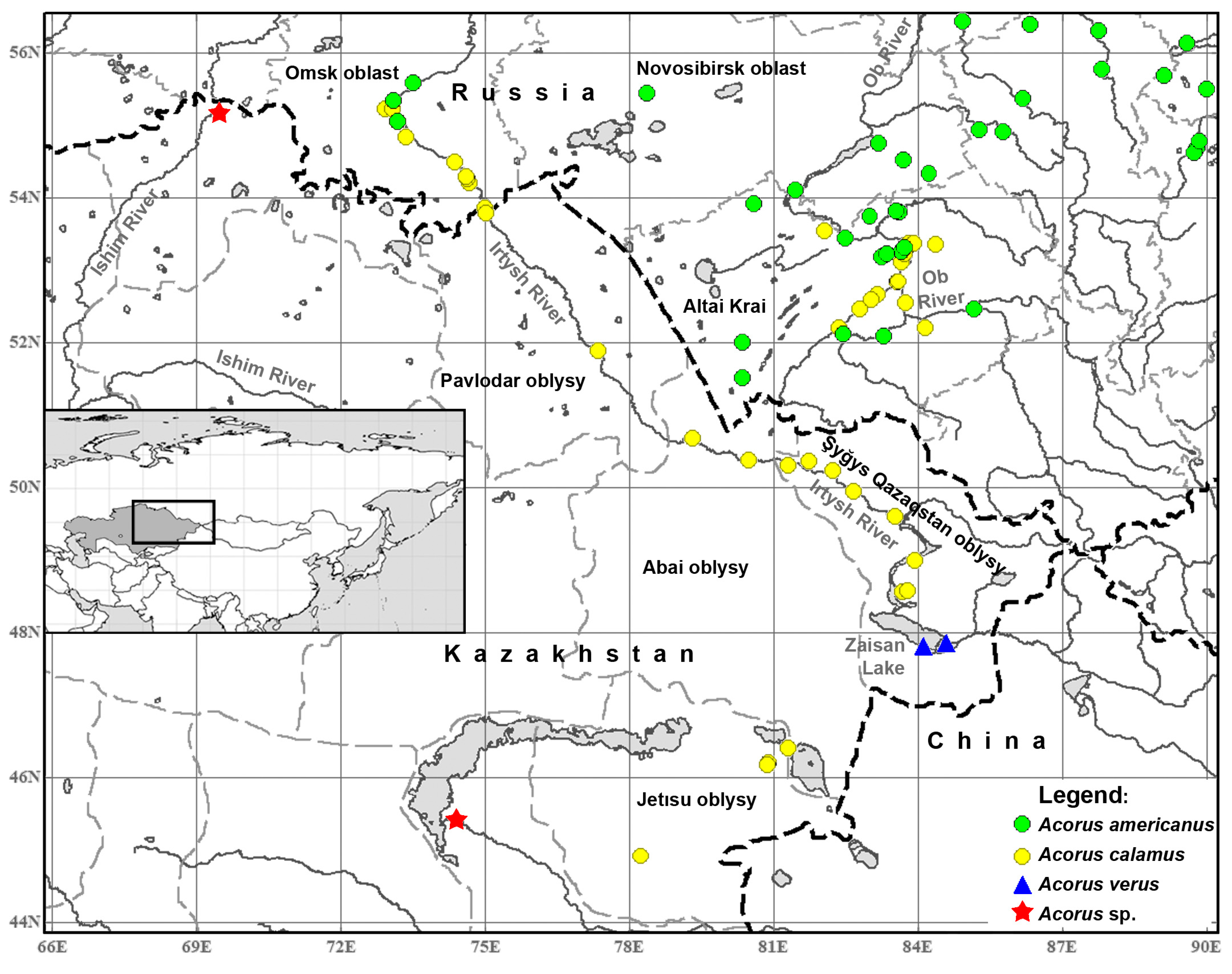 Plants 13 01978 g001