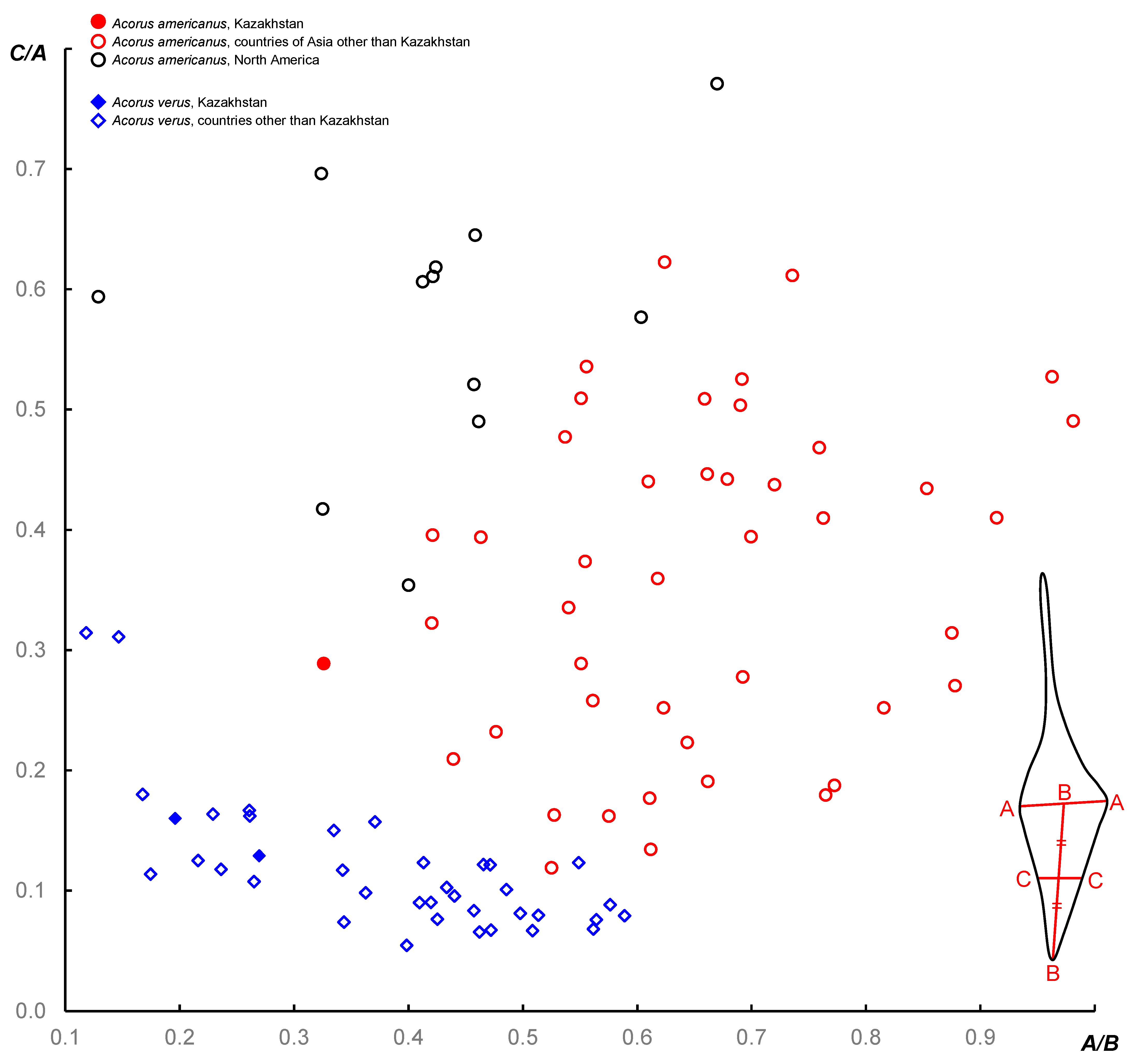 Plants 13 01978 g005