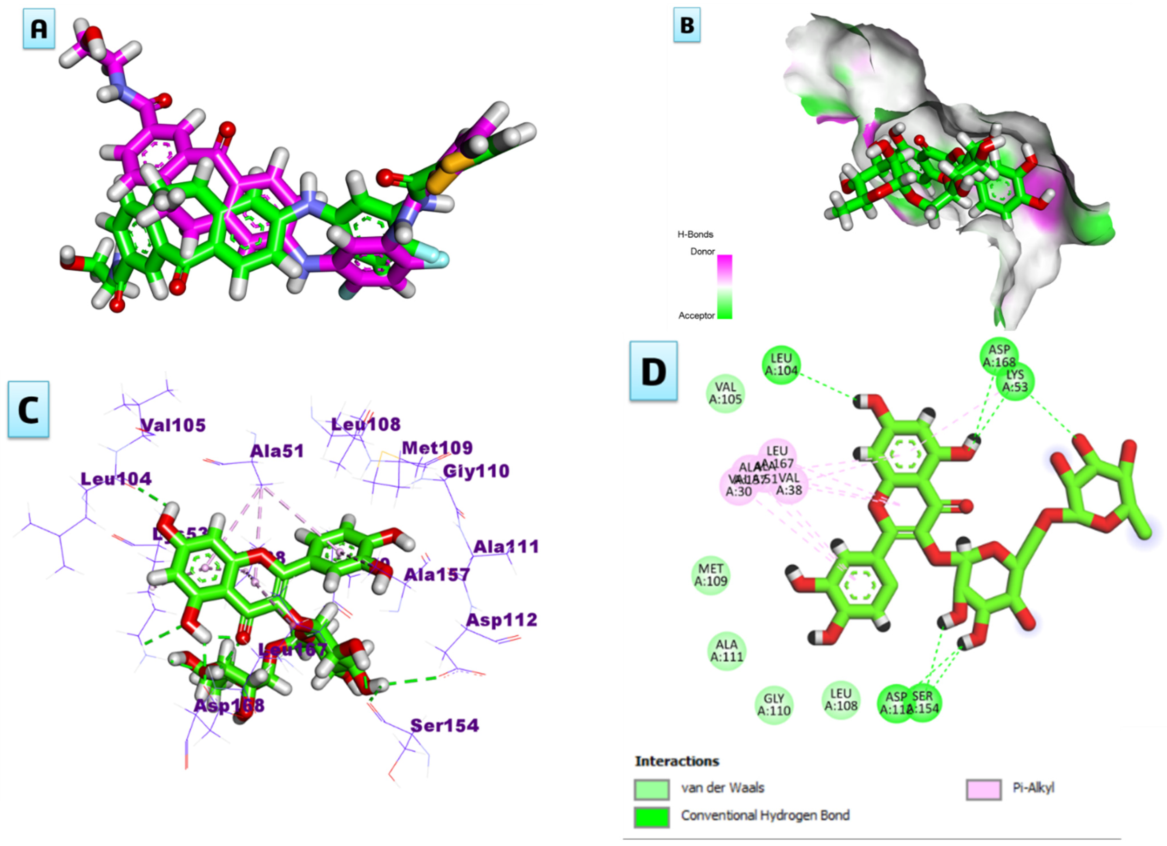 Plants 13 01979 g003