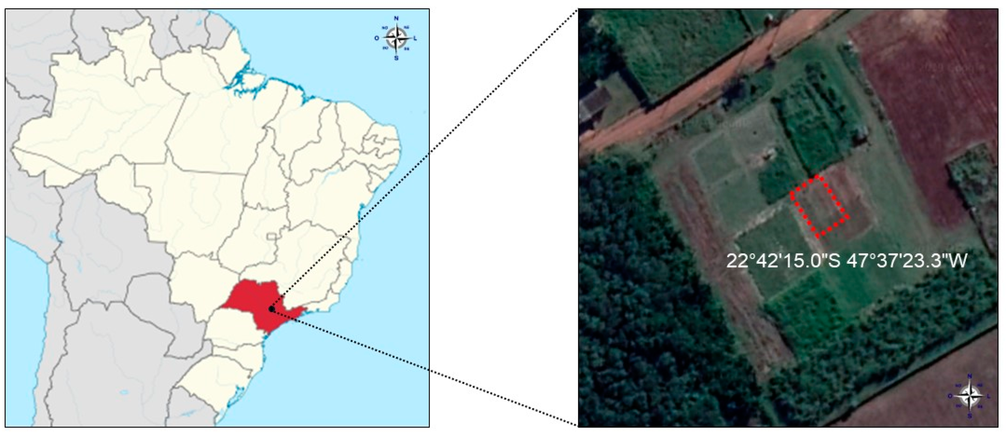 Plants 13 01981 g006 Plants 13 01981 g006