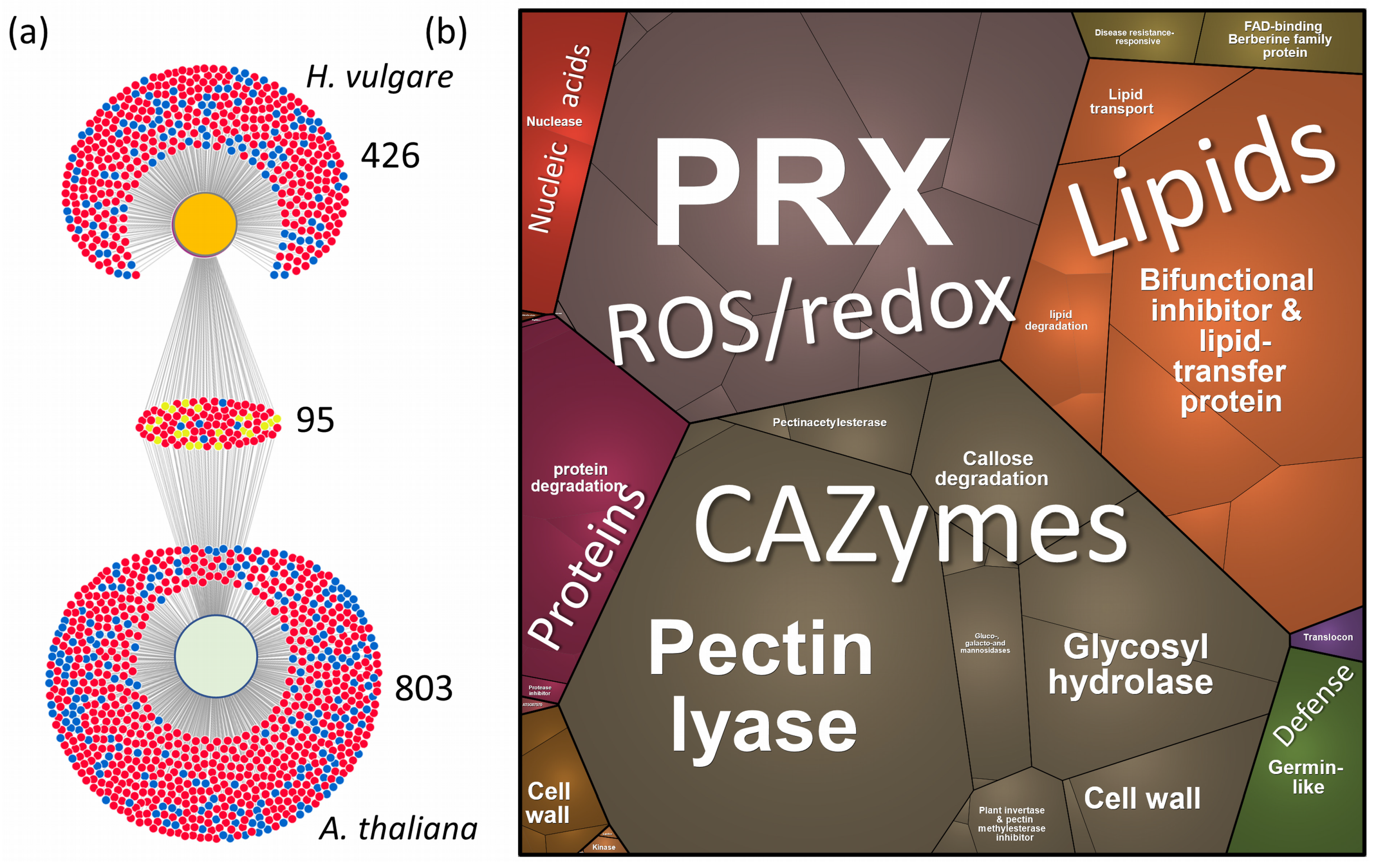 Plants 13 01983 g005