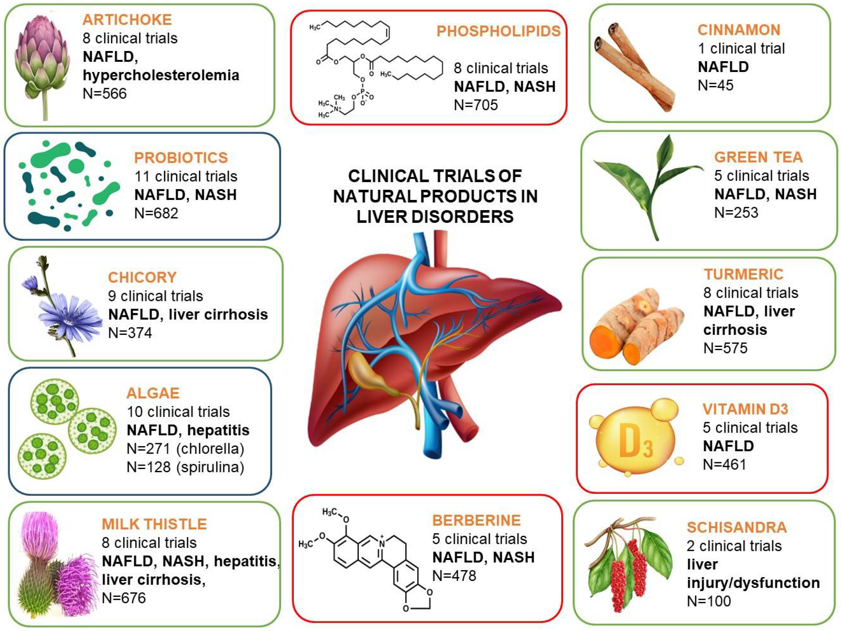 Plants 13 01985 g001