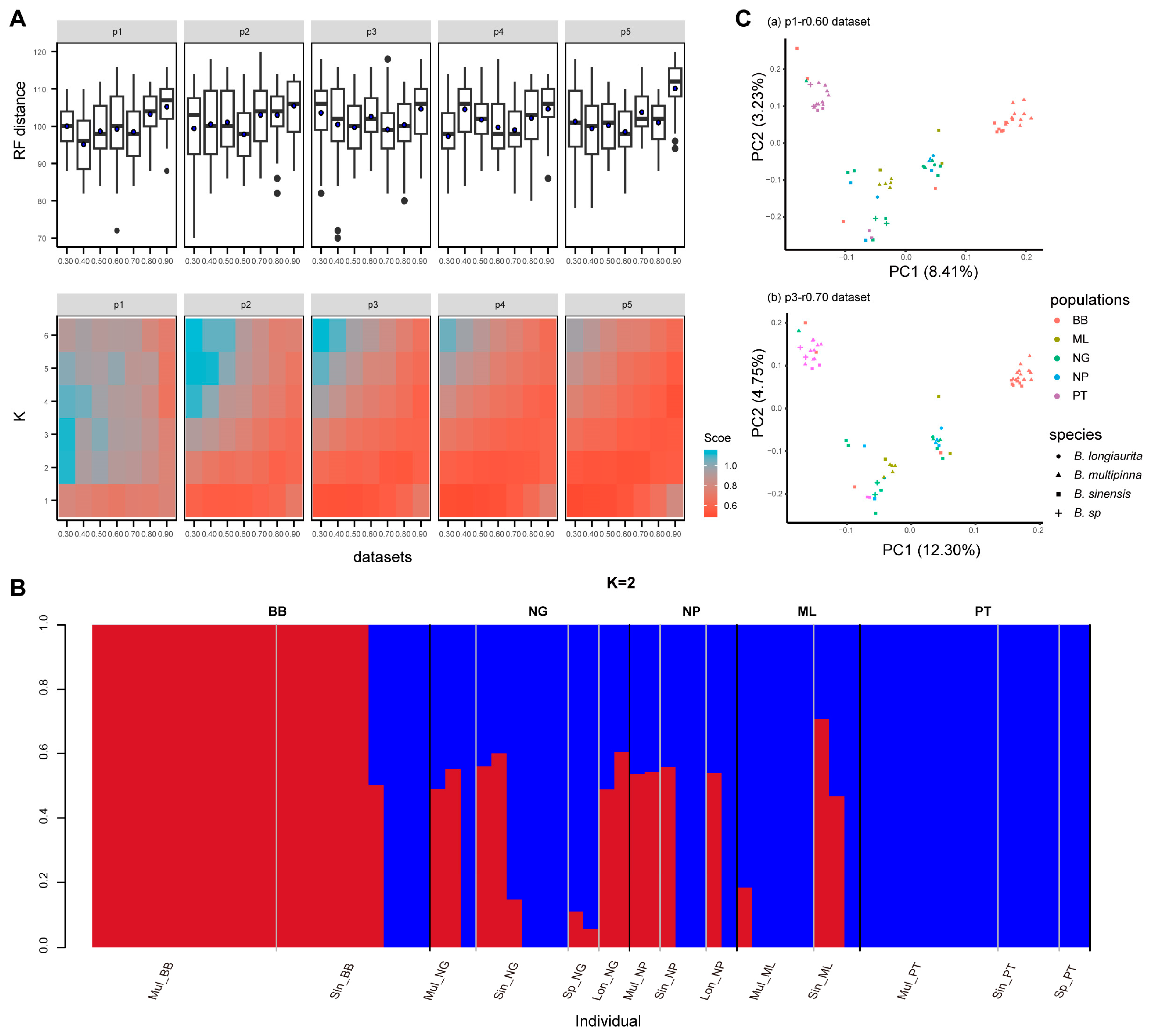 Plants 13 01987 g003