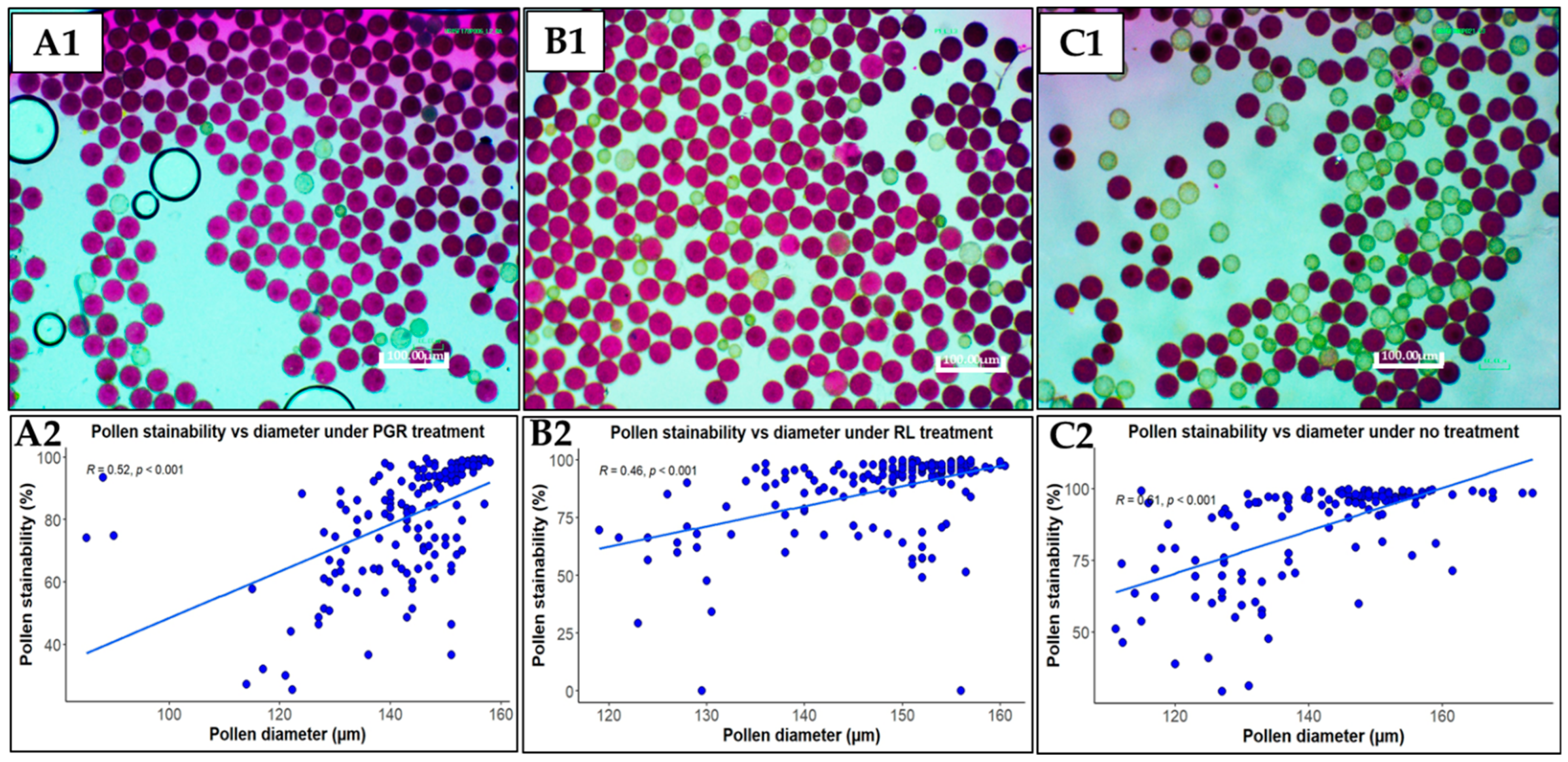 Plants 13 01988 g002