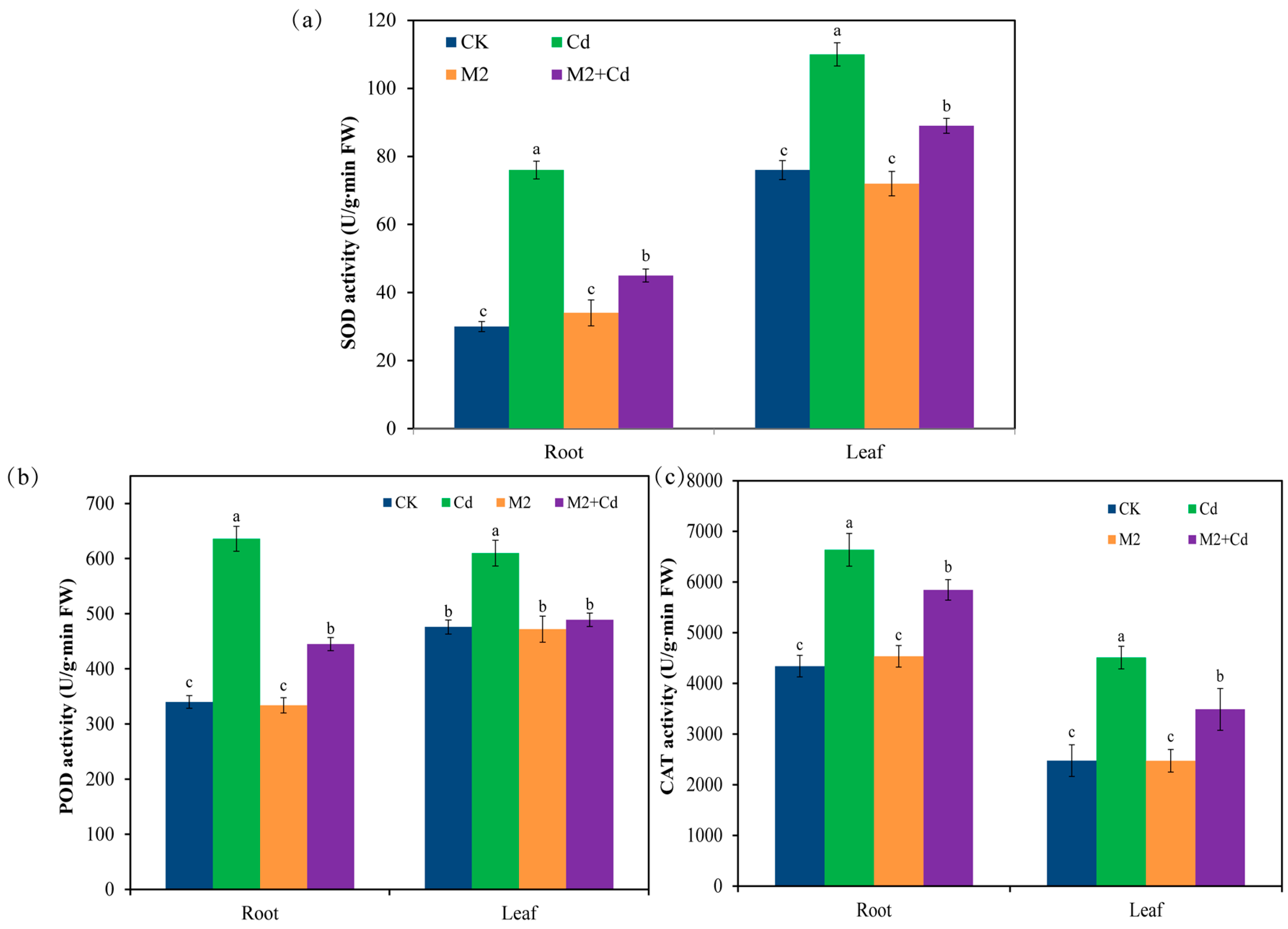 Plants 13 01989 g003