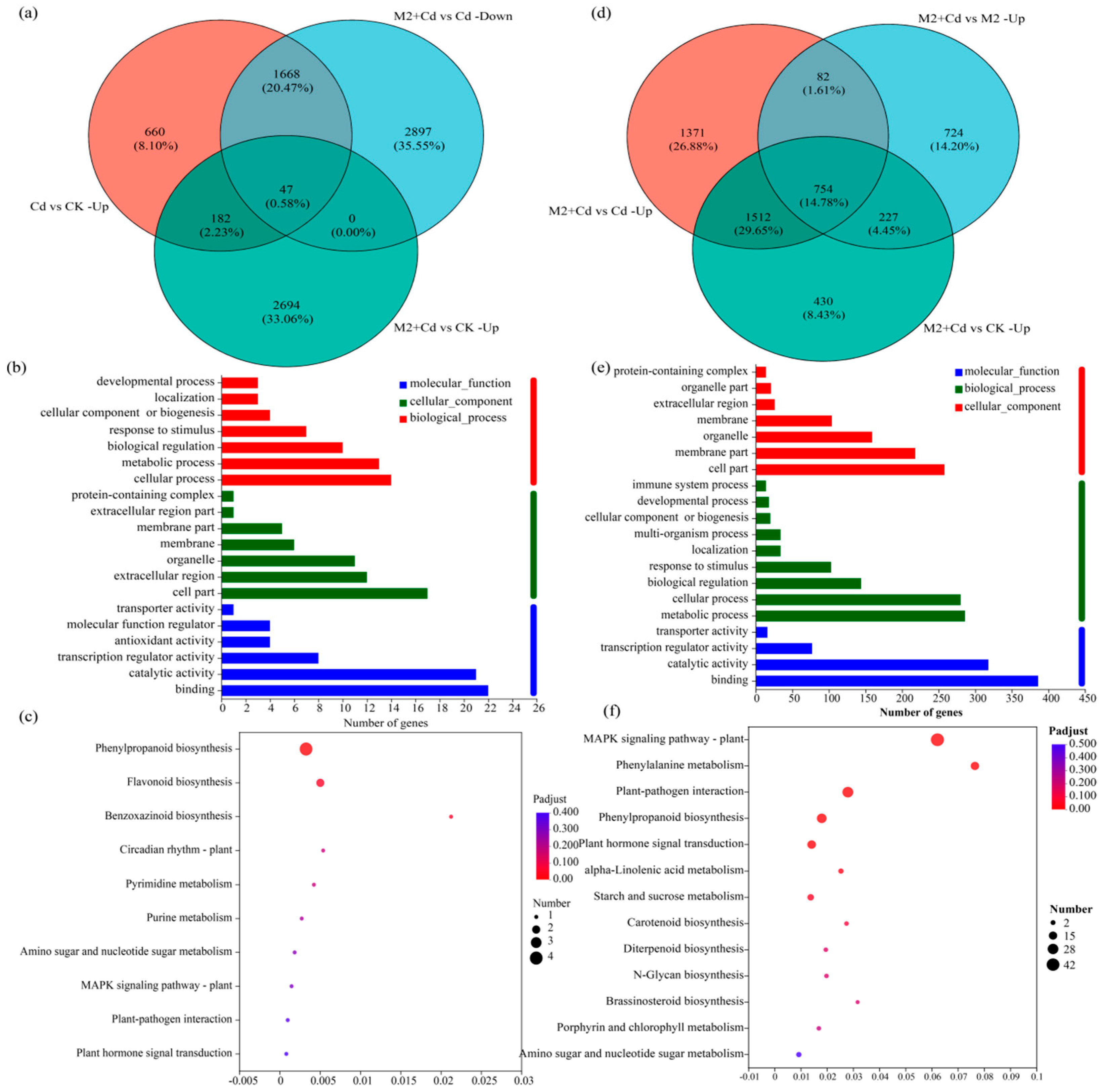 Plants 13 01989 g006