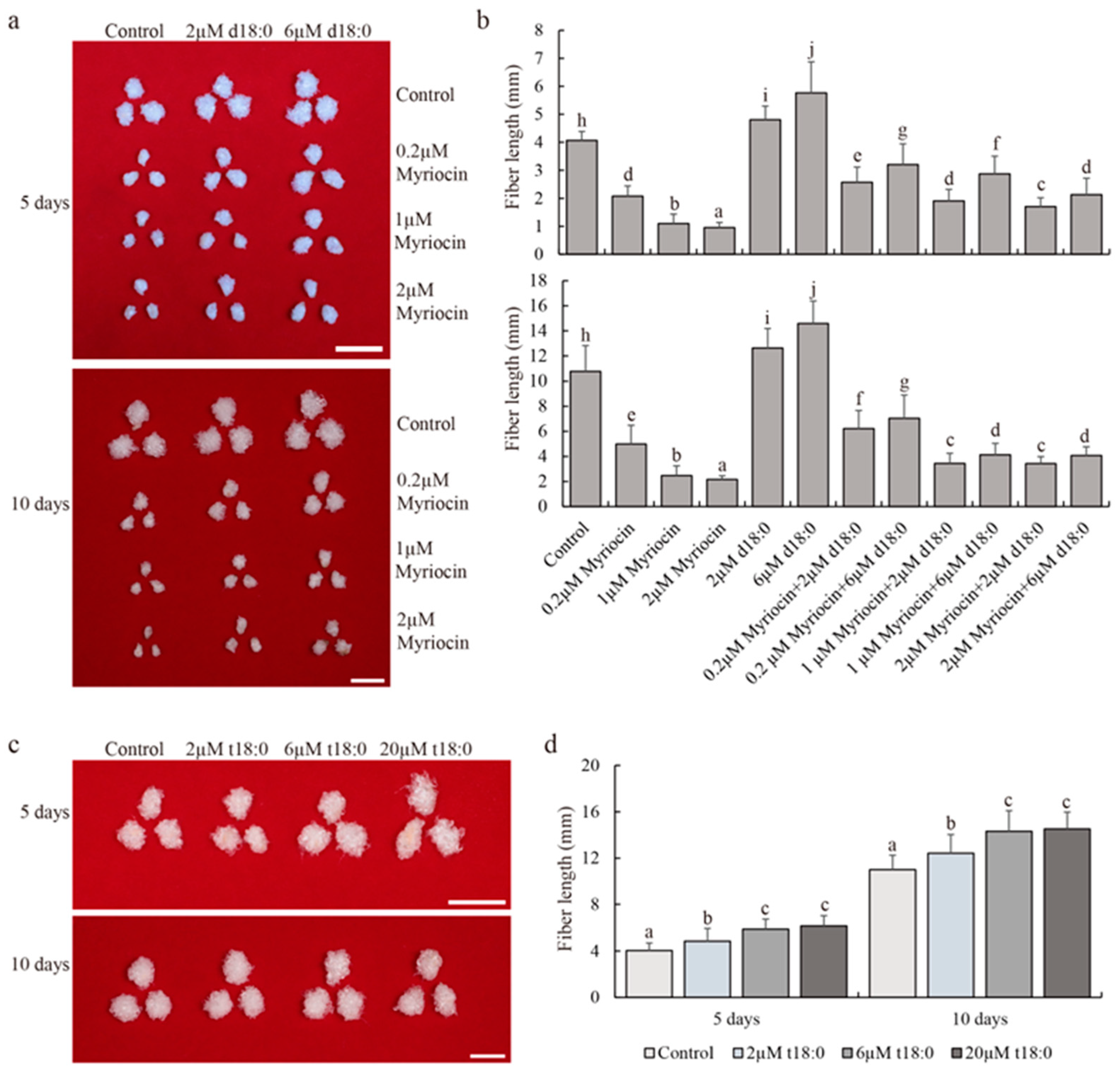 Plants 13 01993 g001