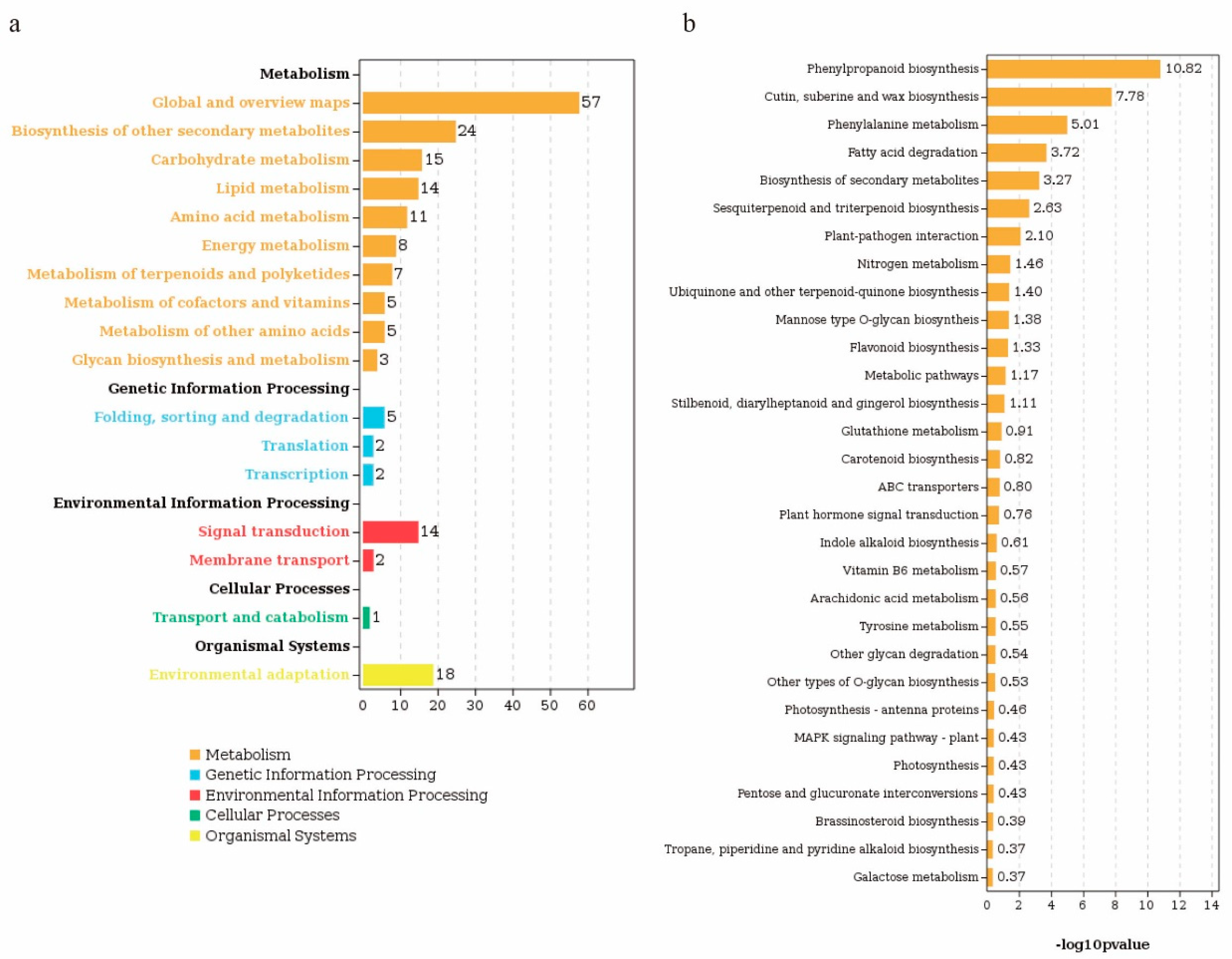 Plants 13 01993 g005