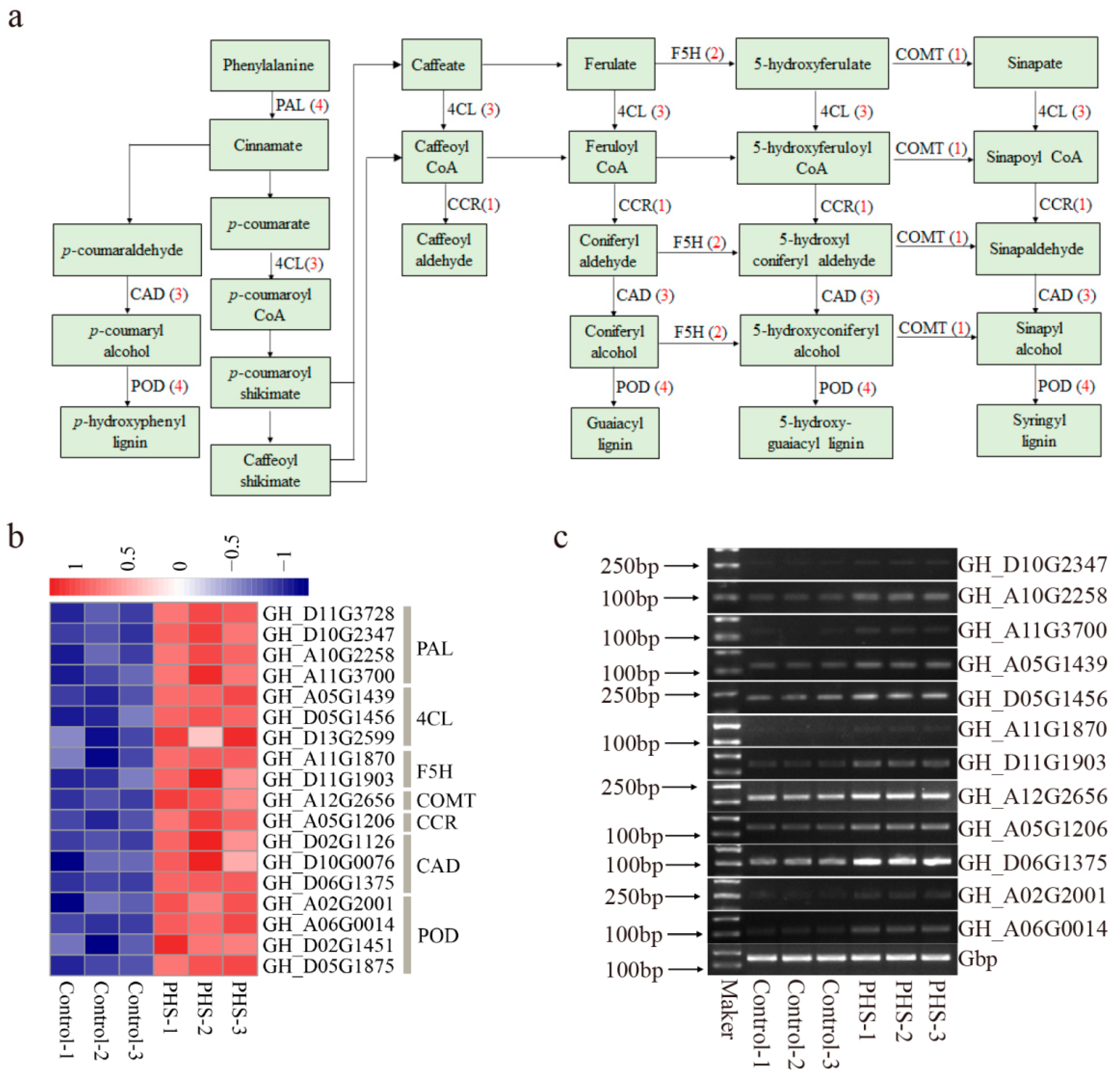 Plants 13 01993 g006