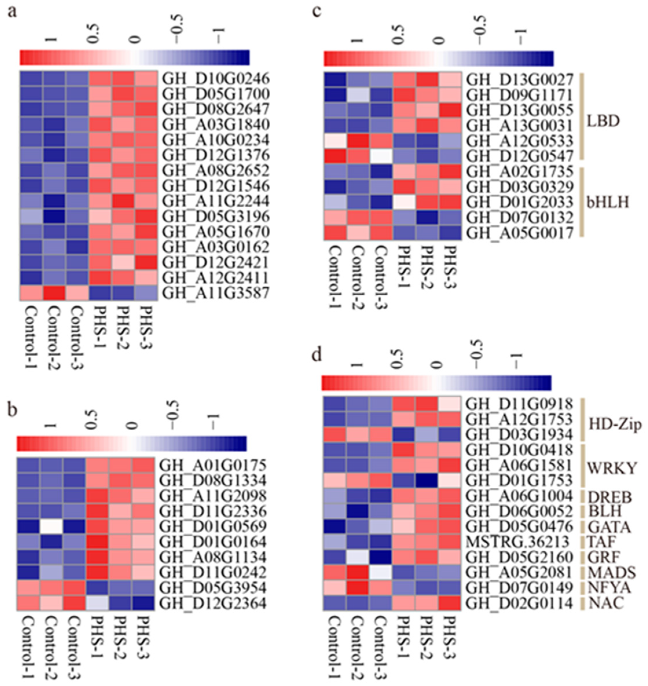 Plants 13 01993 g007