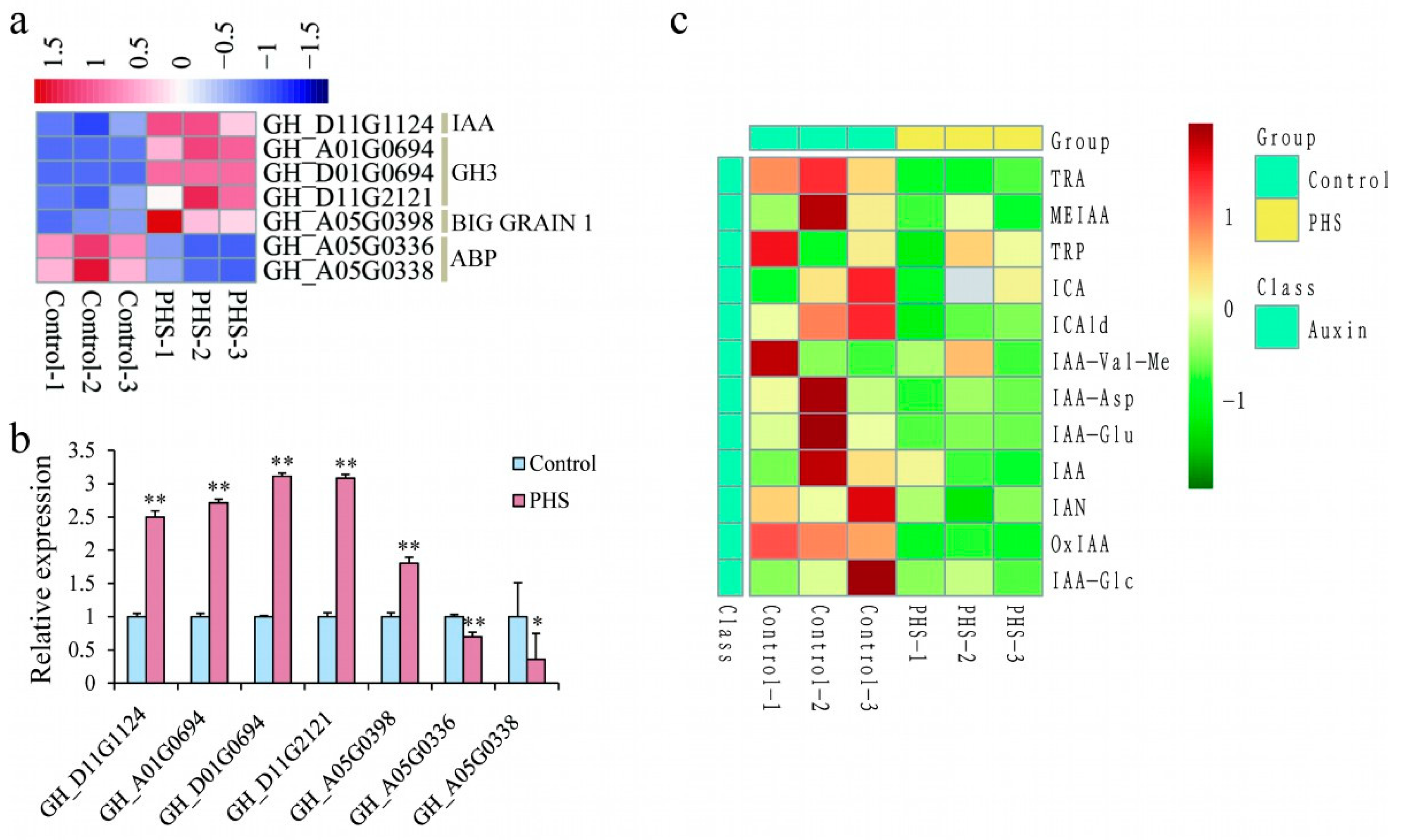 Plants 13 01993 g008
