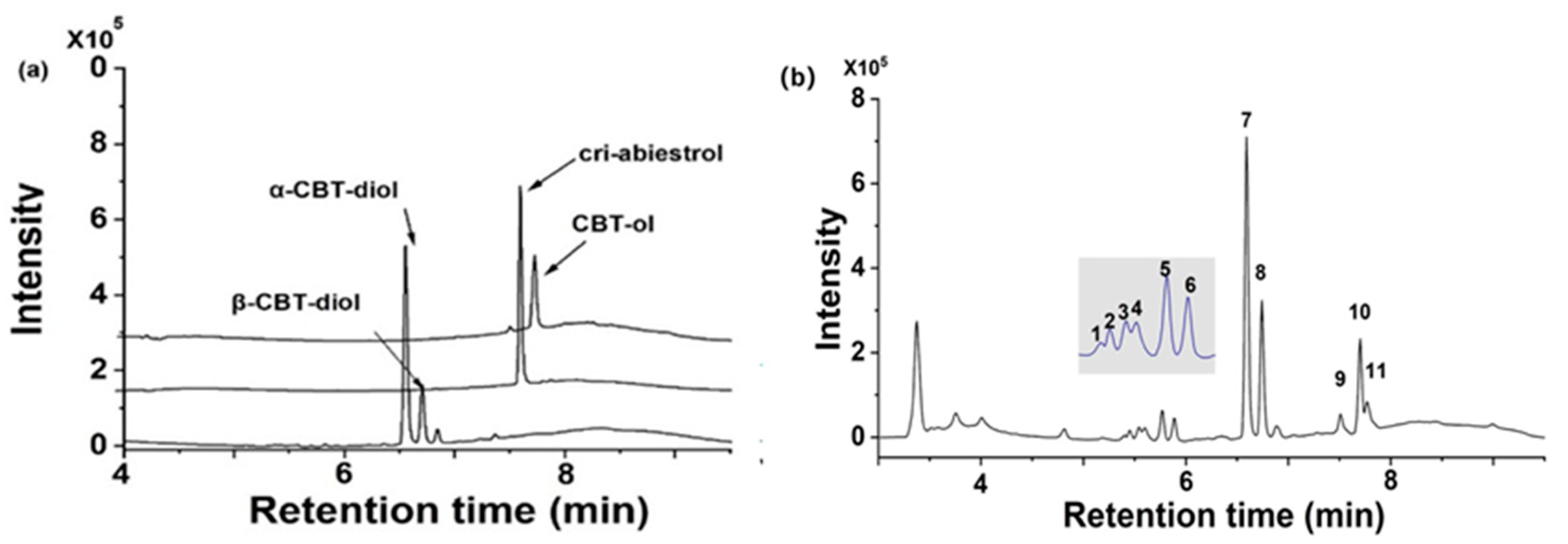 Plants 13 01997 g001