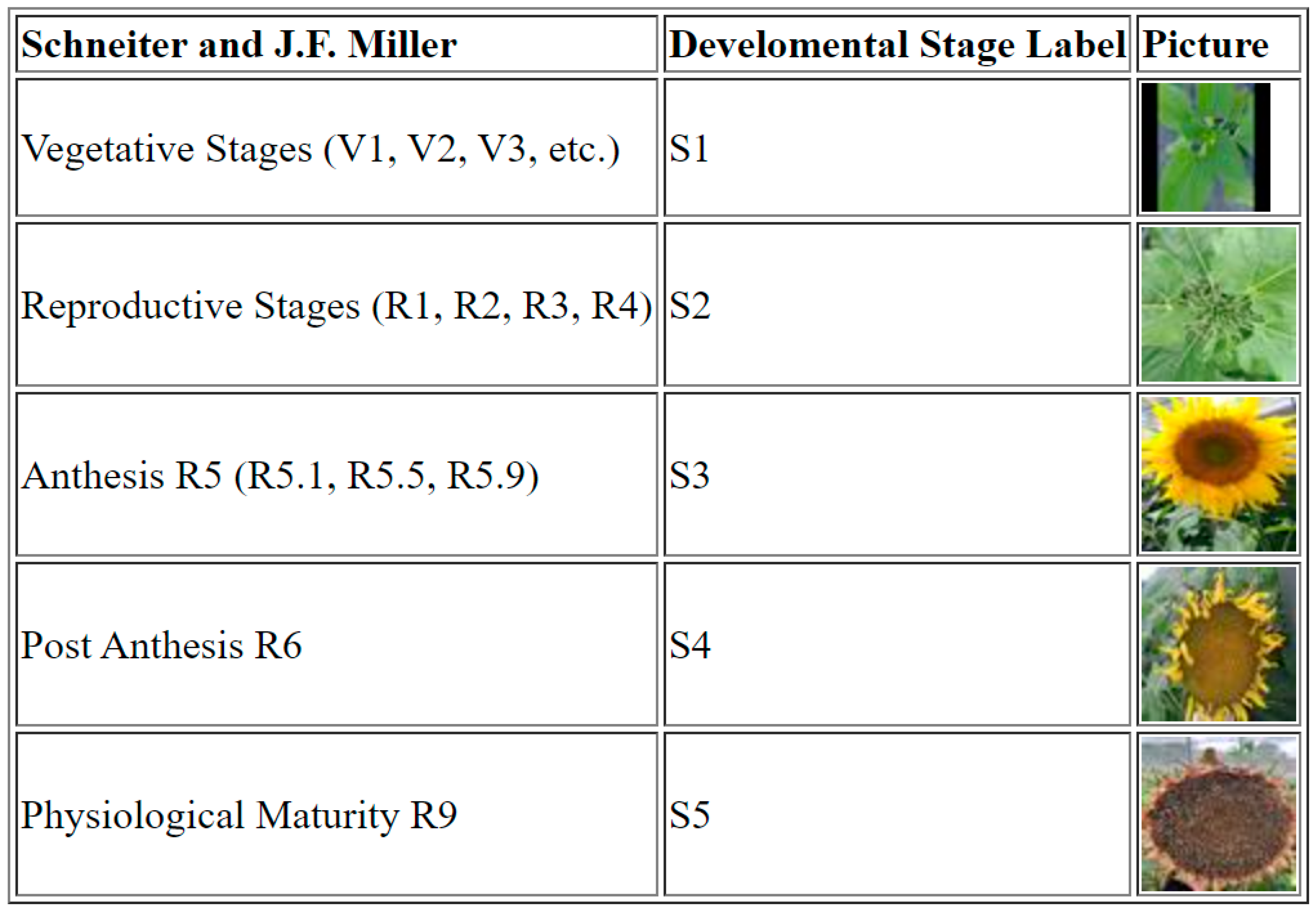 Plants 13 01998 g001