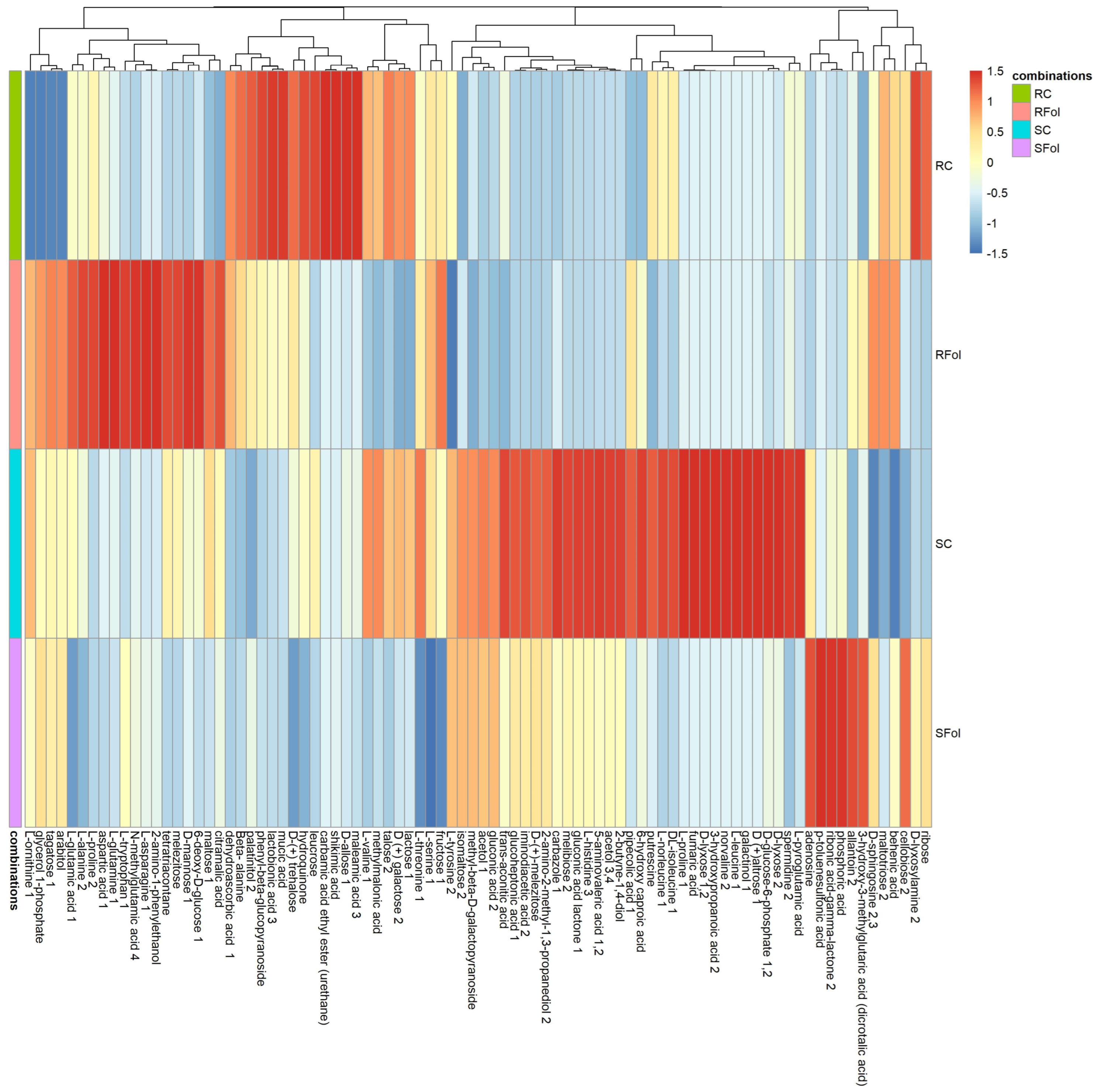 Plants 13 02005 g004