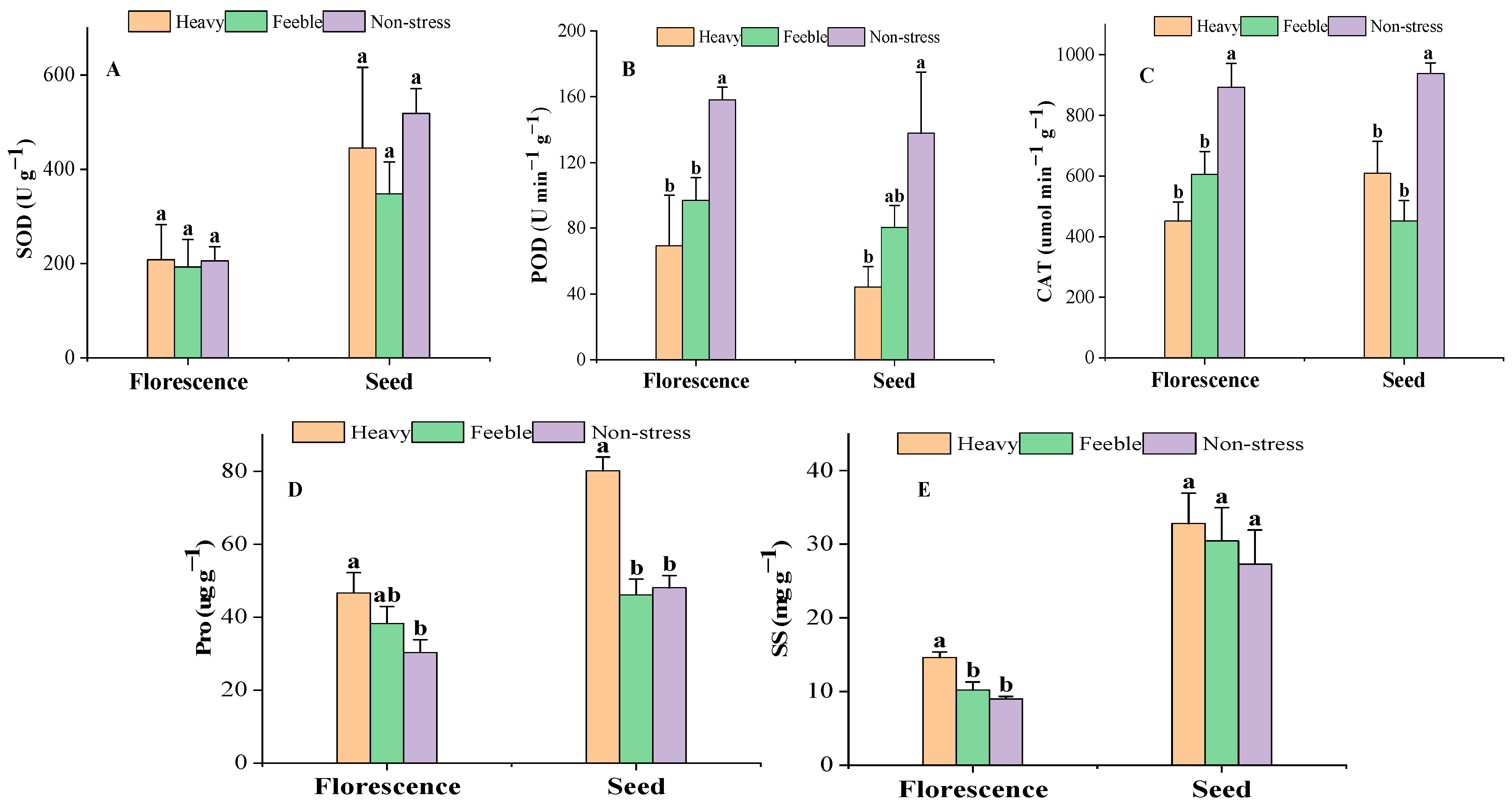 Plants 13 02006 g002