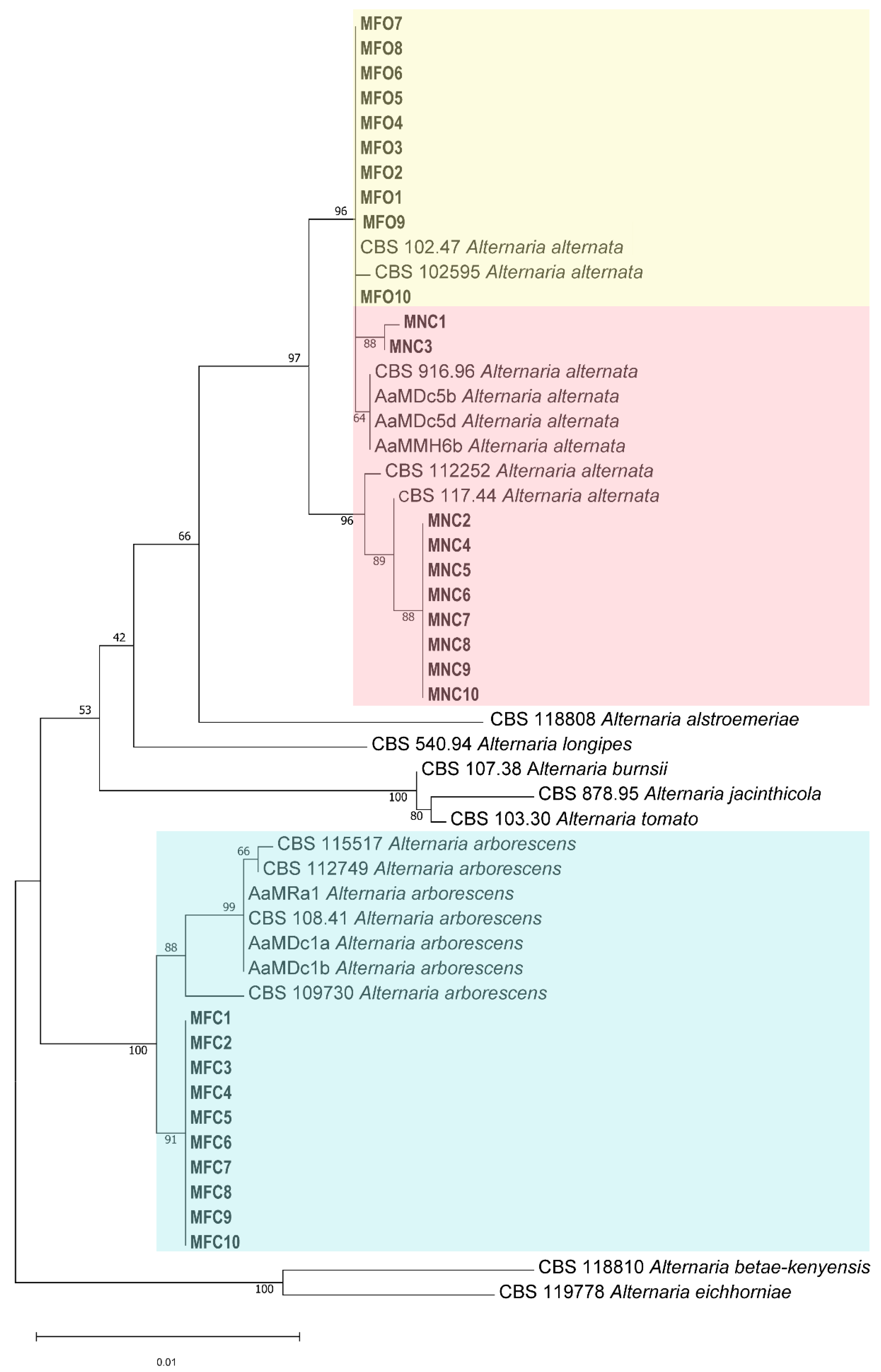 Plants 13 02007 g003