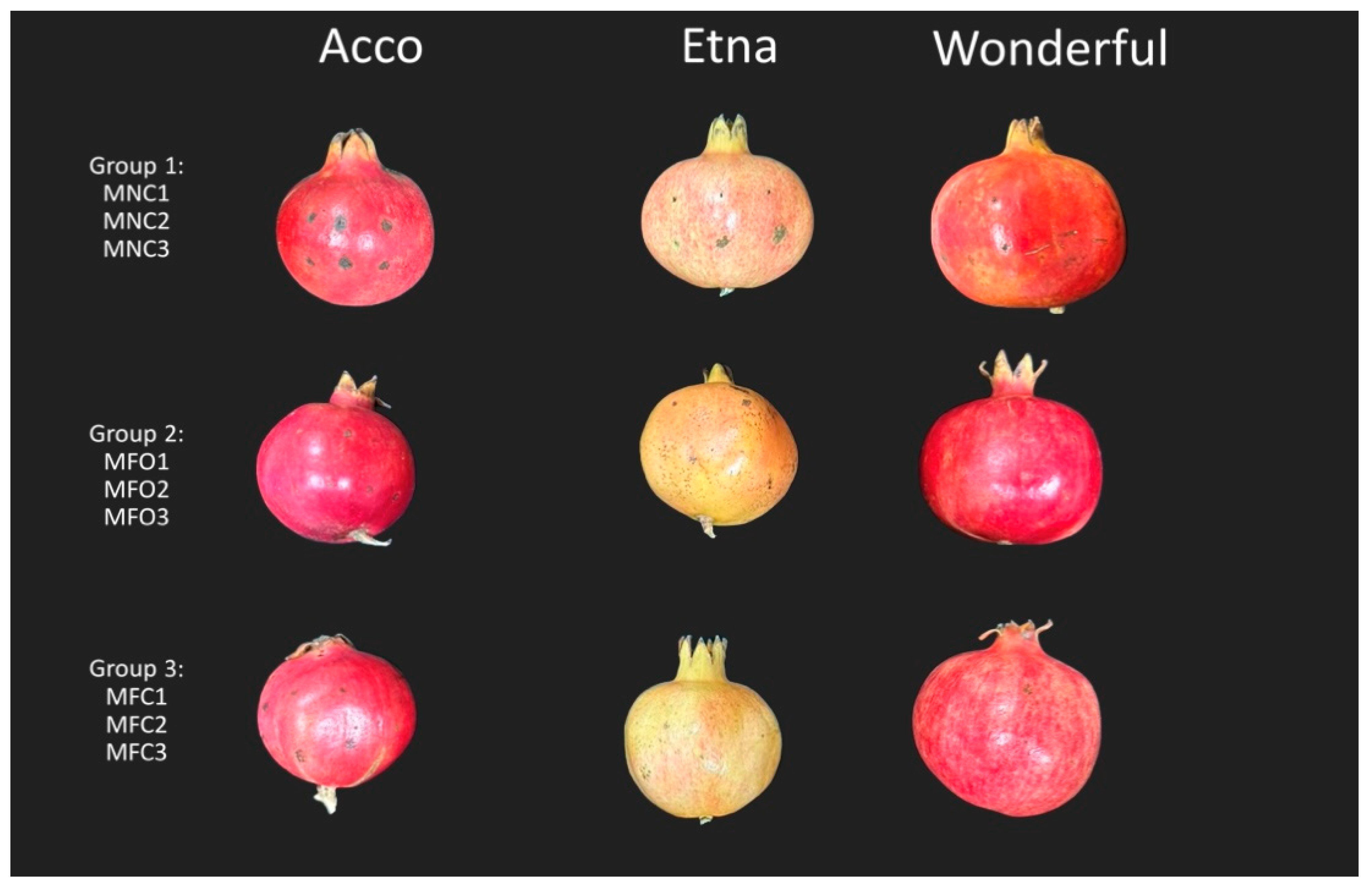 Plants 13 02007 g006