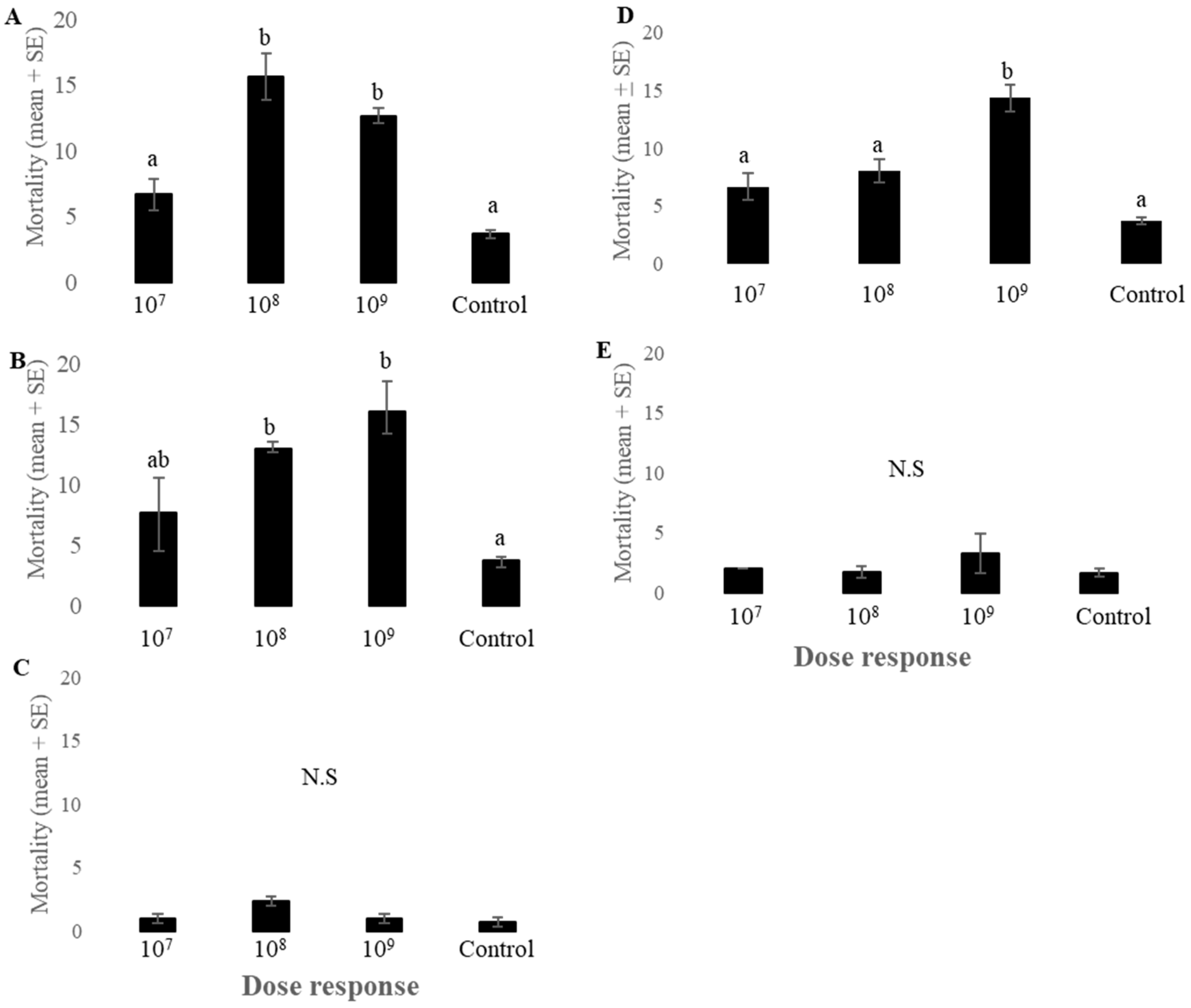 Plants 13 02012 g002